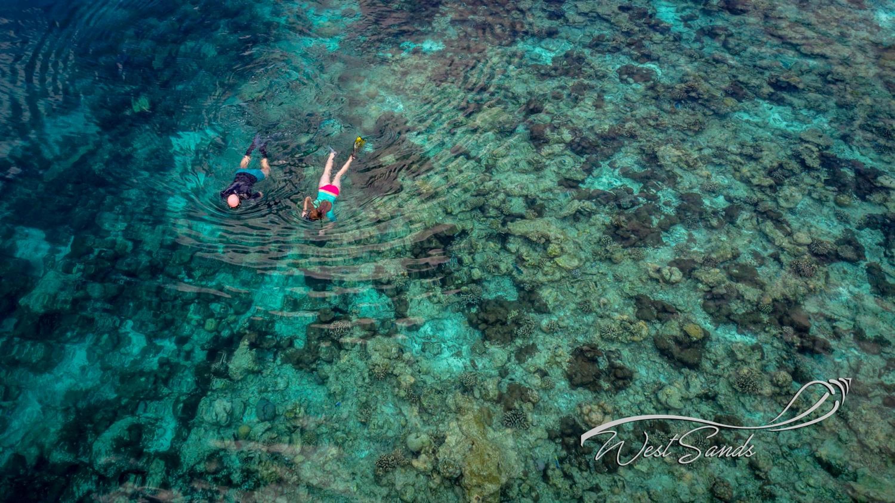 West Sands - View 65