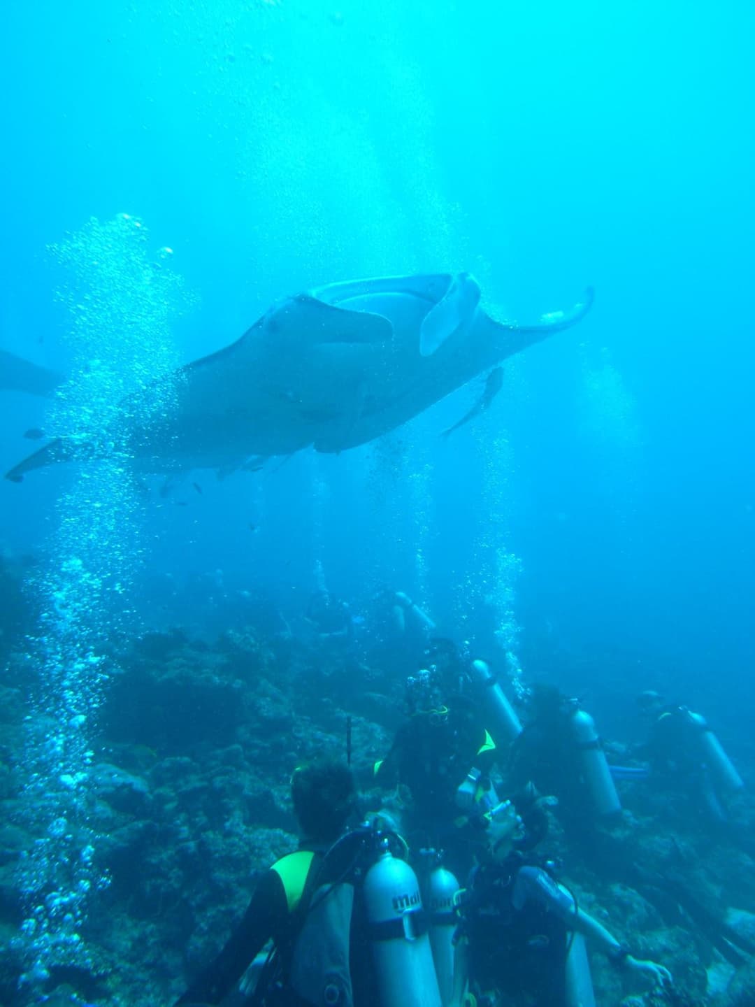 Adaaran Select Huduran Fushi - Free Dine around Premium All Inclusive 24 hours - 30 mins by Speedboat - View 204