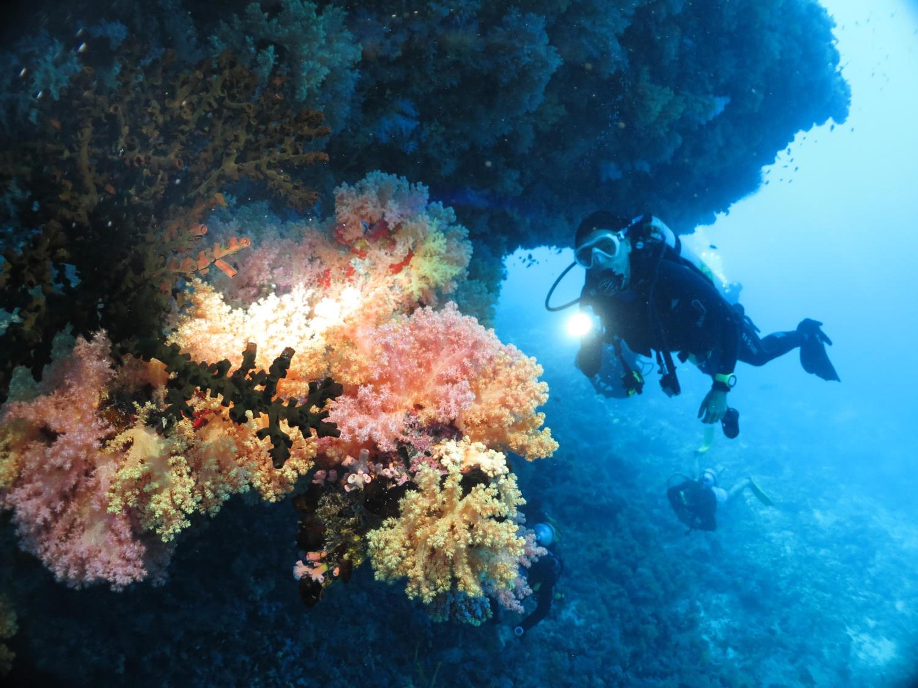 Adaaran Select Huduran Fushi - Free Dine around Premium All Inclusive 24 hours - 45 mins by Speedboat - View 148