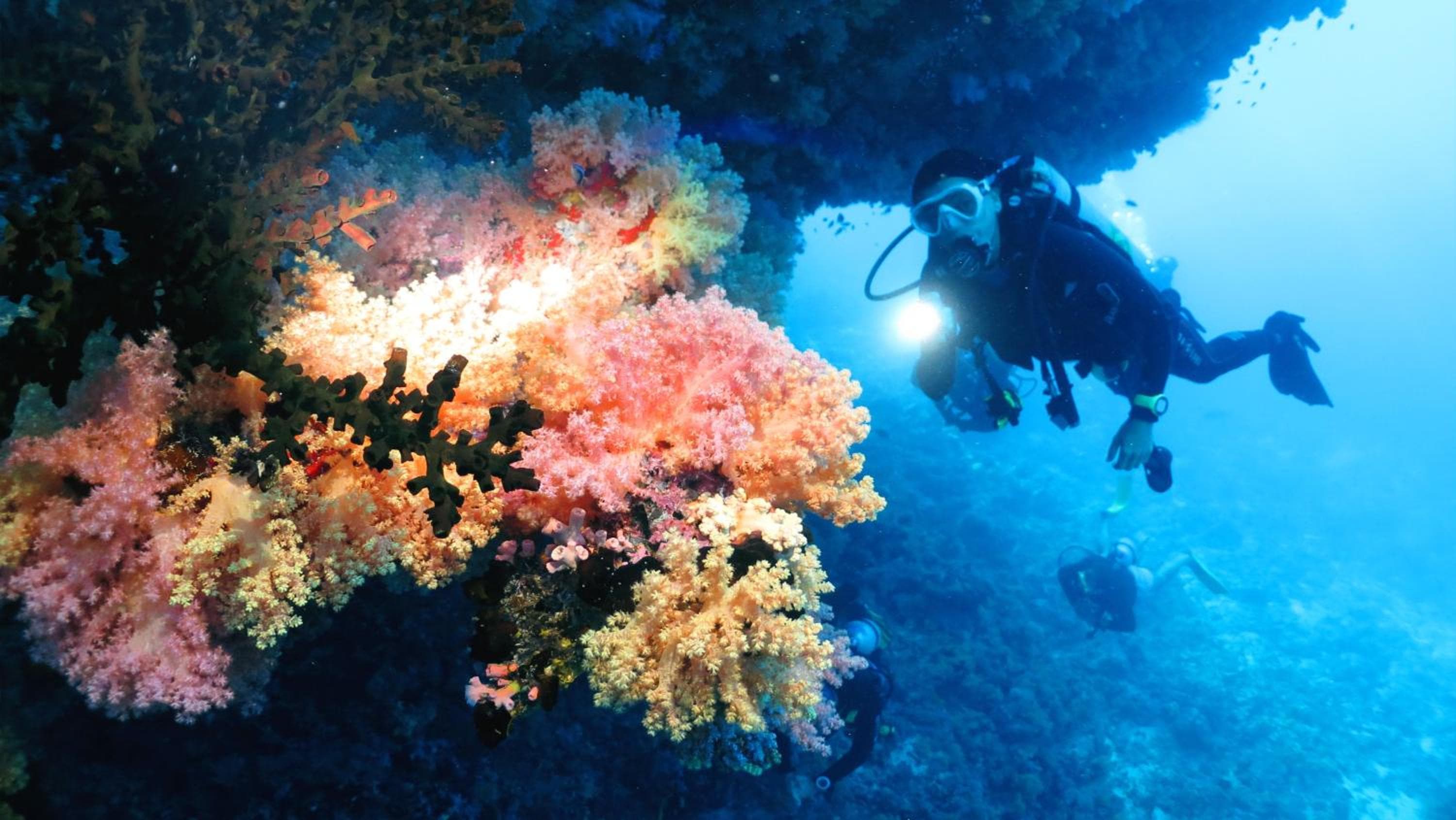 Adaaran Select Huduran Fushi - Free Dine around Premium All Inclusive 24 hours - 45 mins by Speedboat - View 41