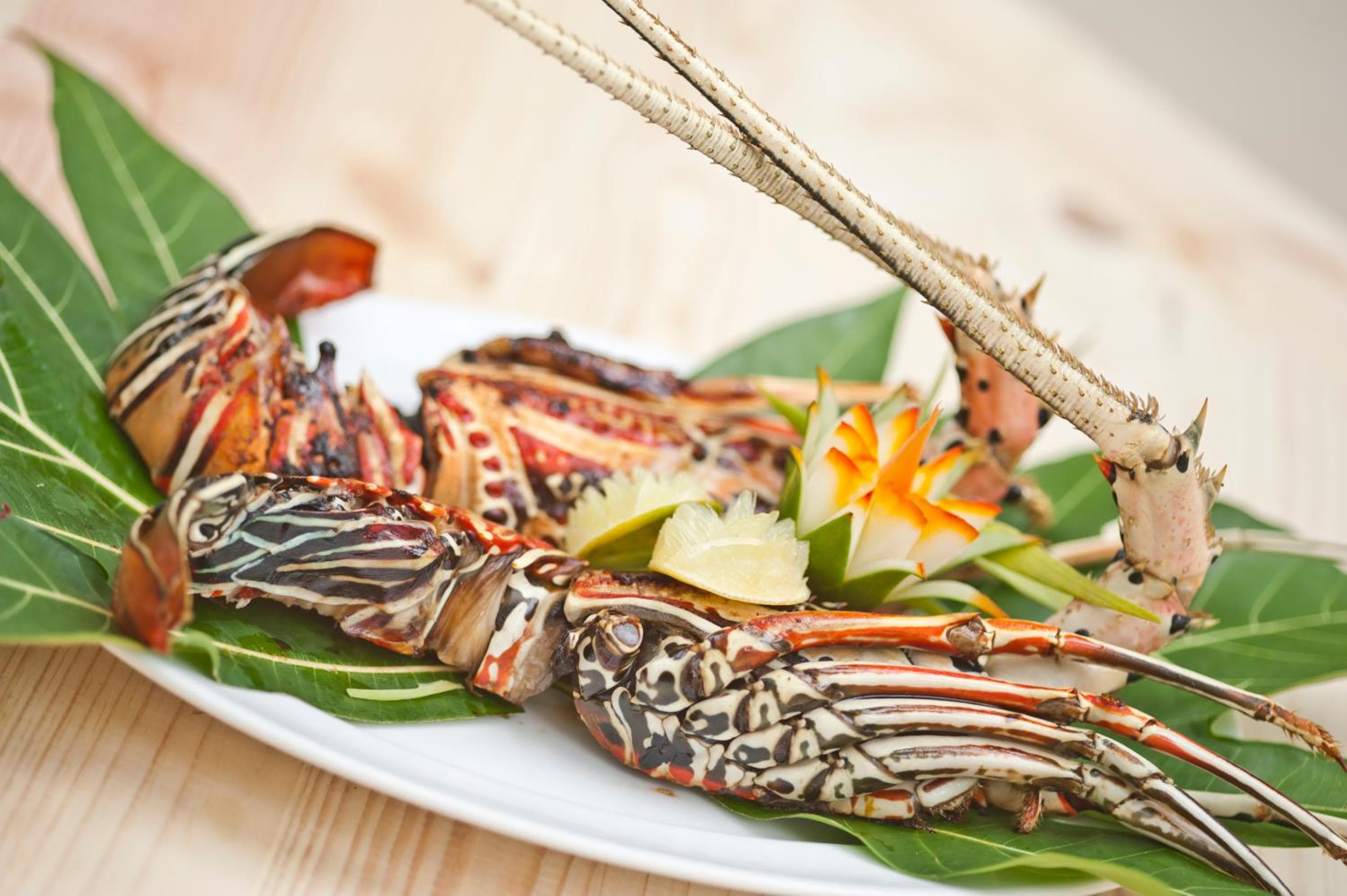 Stingray Beach Inn - View 12