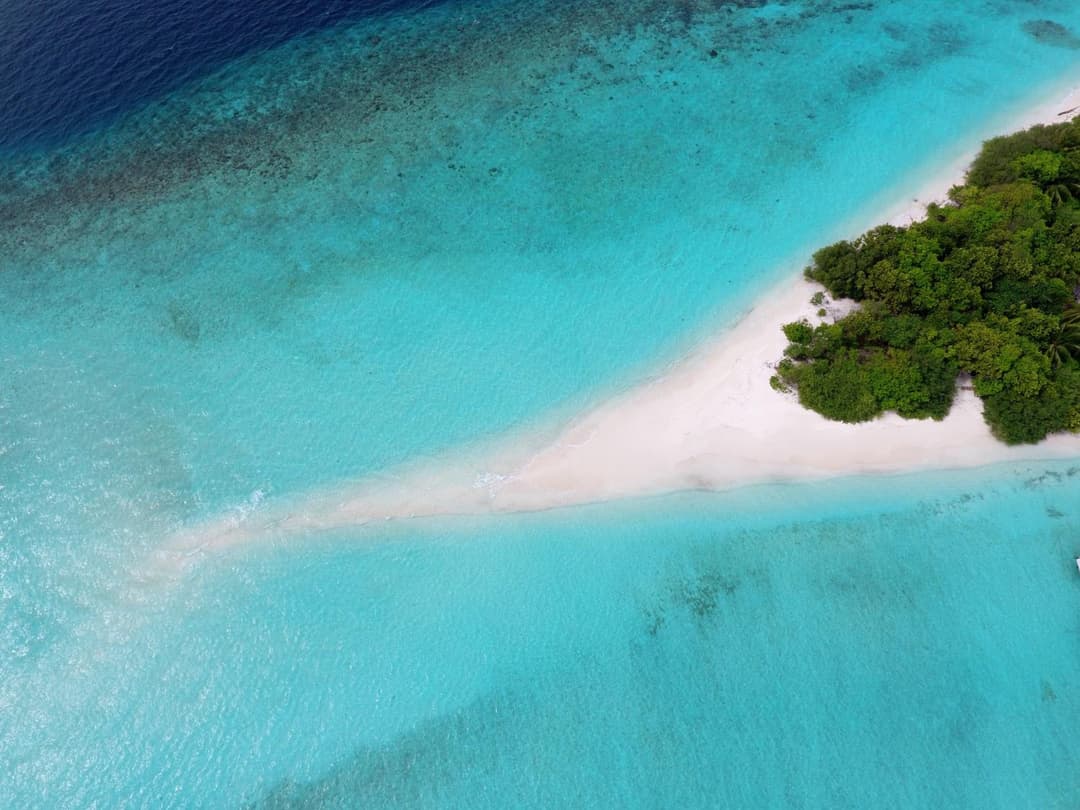 Niva Dhigali Maldives - A Premium All-Inclusive Resort - View 80