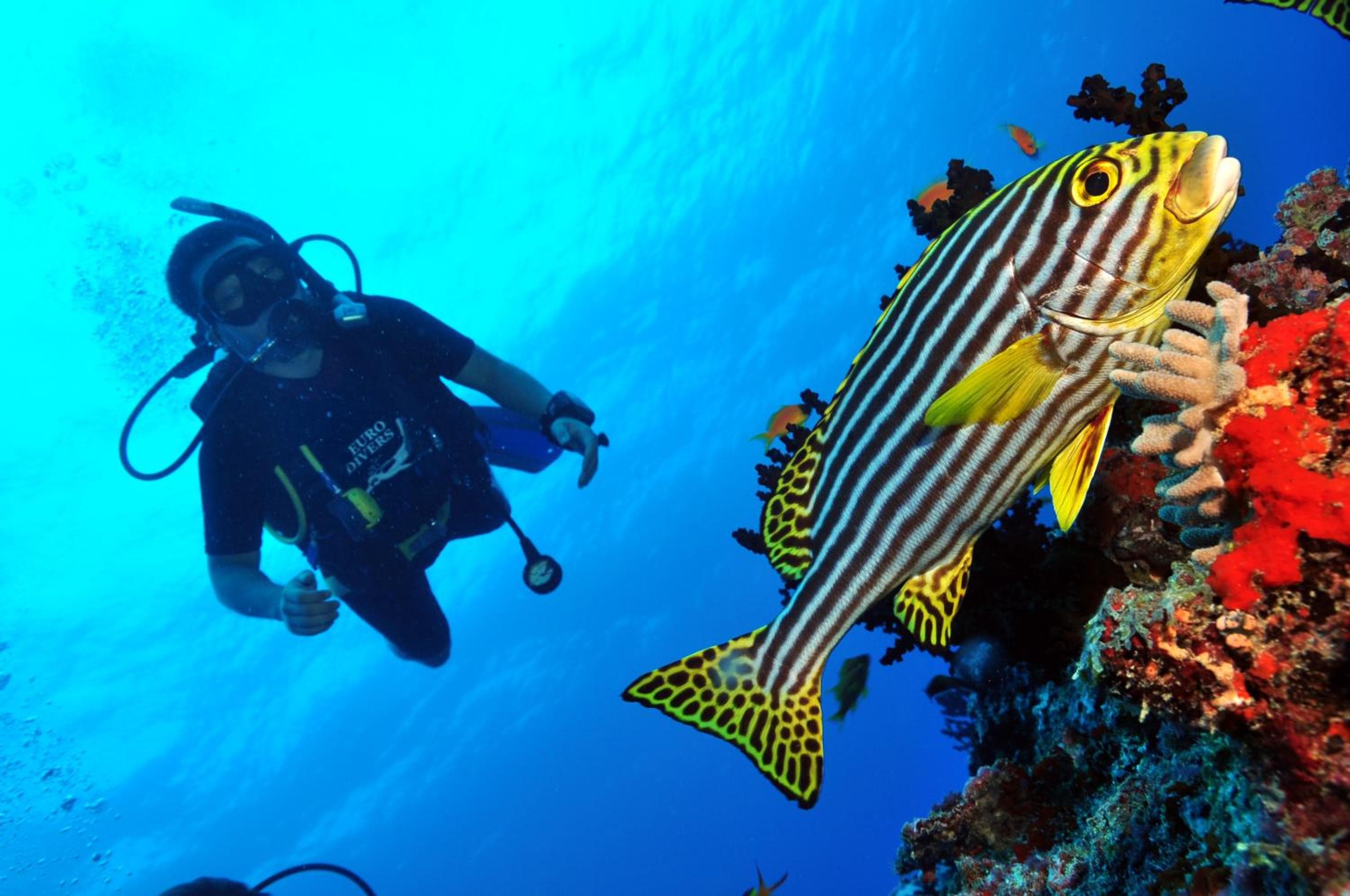 Dhigali Maldives - A Premium All-Inclusive Resort - View 102