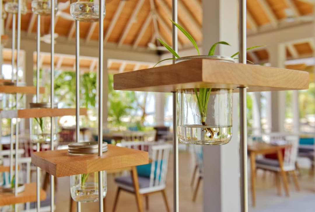 Niva Dhigali Maldives - A Premium All-Inclusive Resort - View 96