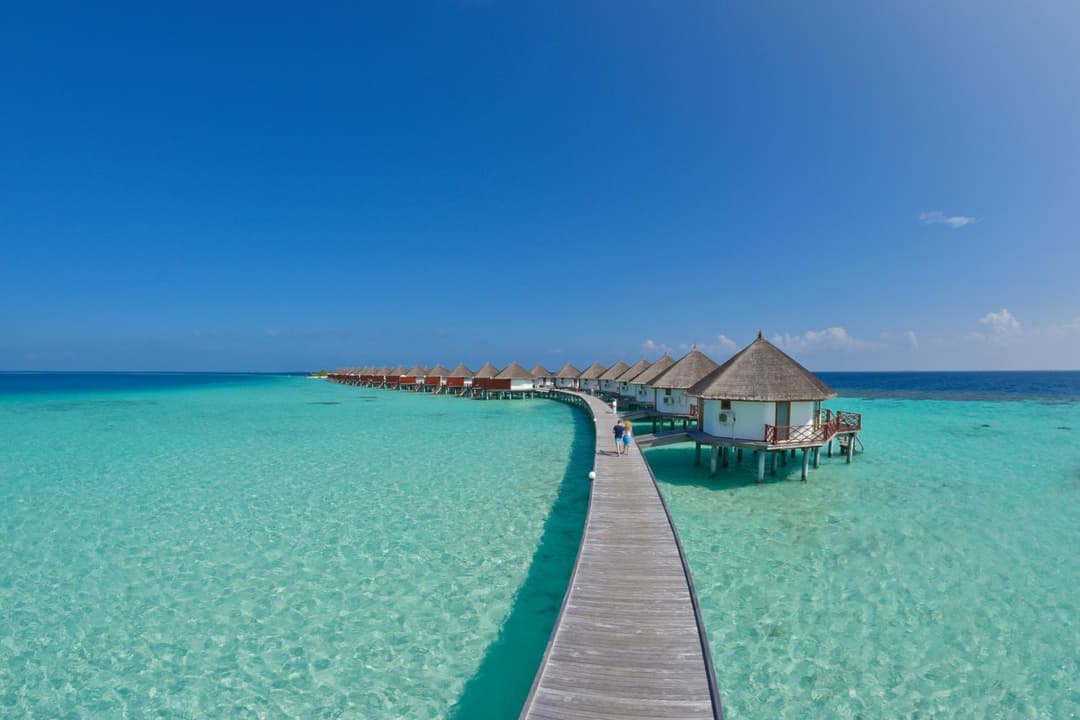 Safari Island Resort & Spa Maldives - View 42