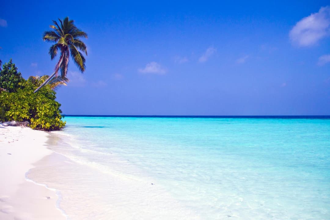 Safari Island Resort & Spa Maldives - View 29