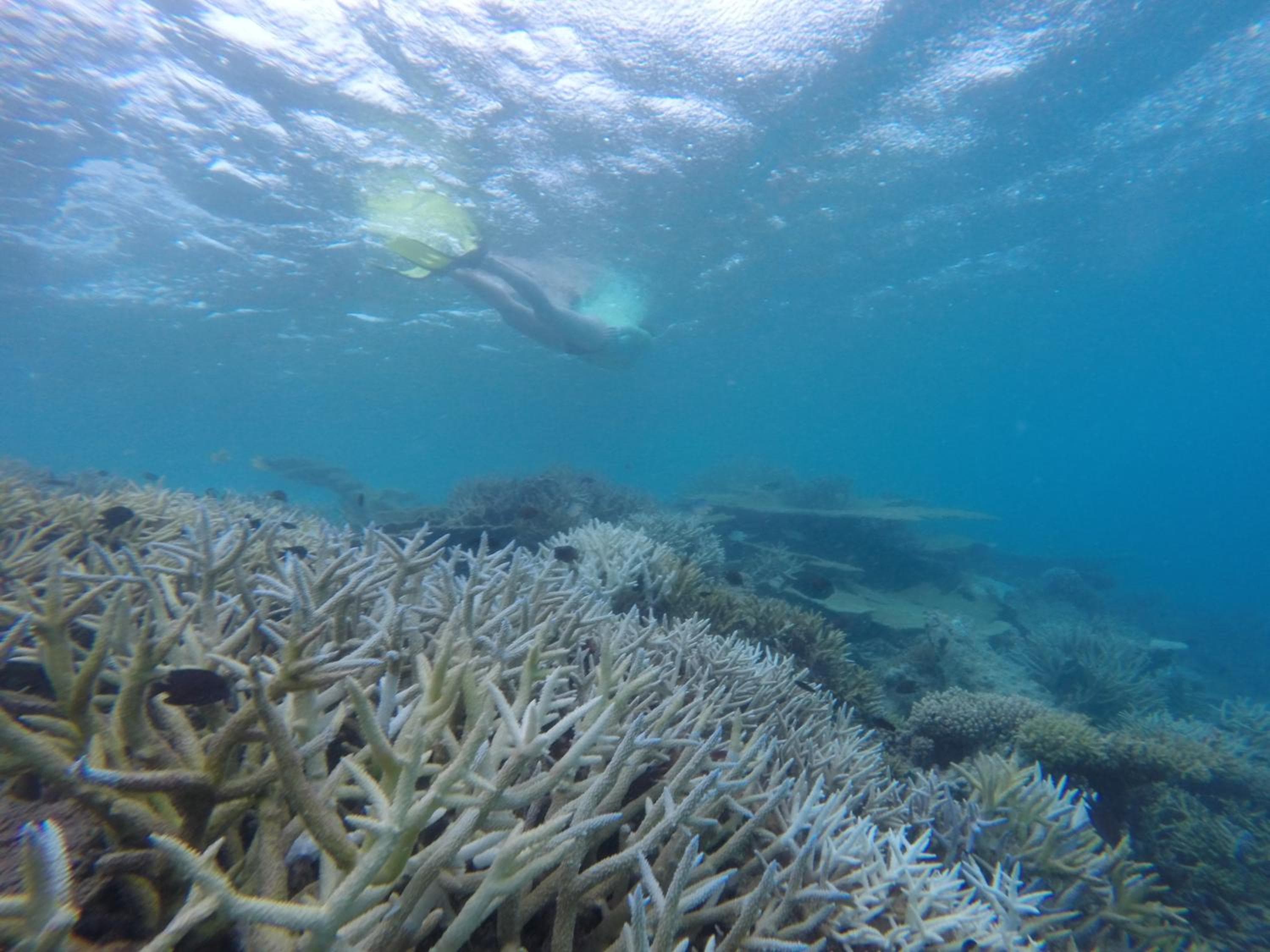 Holiday Haven Ukulhas - View 22