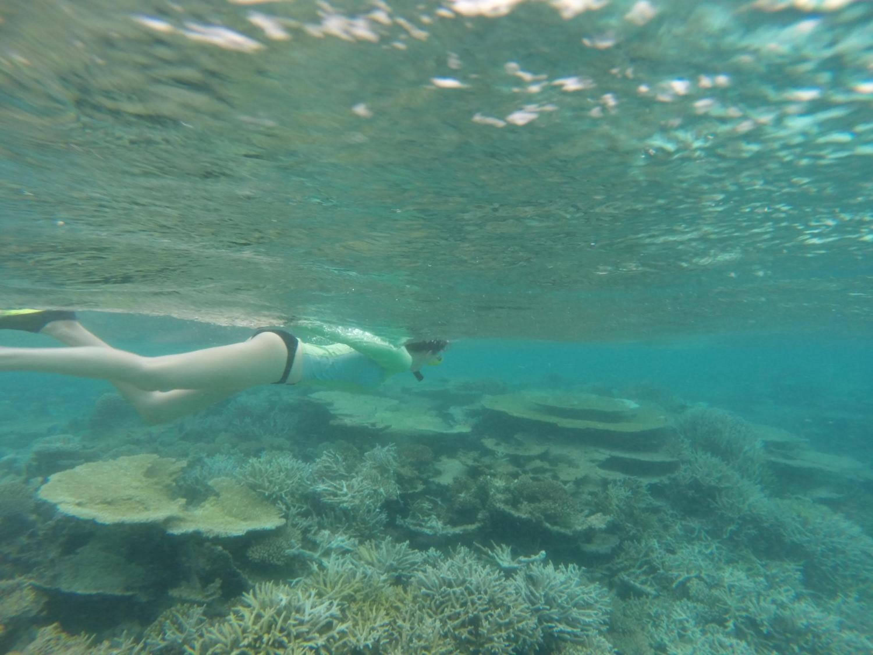 Holiday Haven Ukulhas - View 40