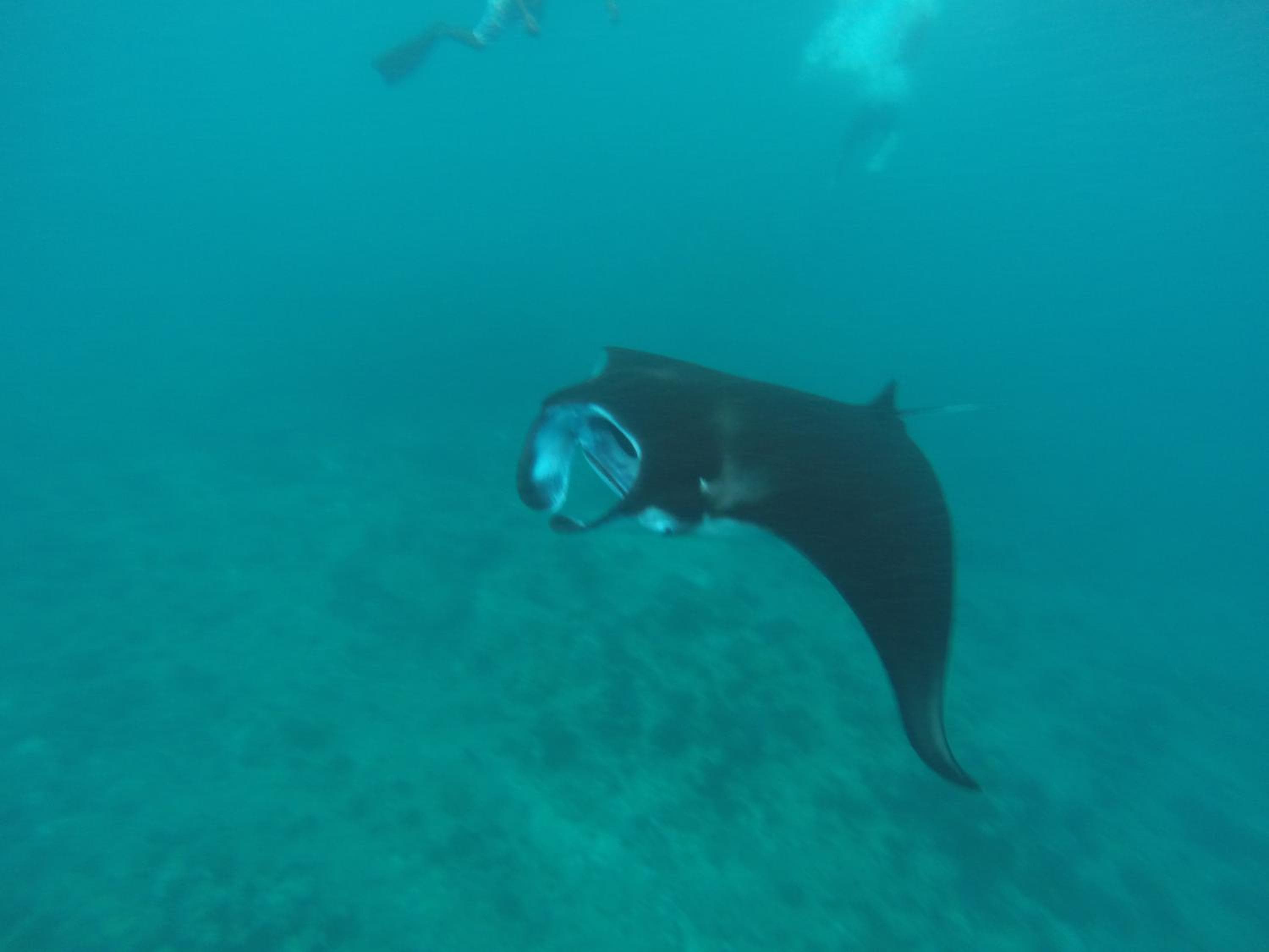 Holiday Haven Ukulhas - View 38