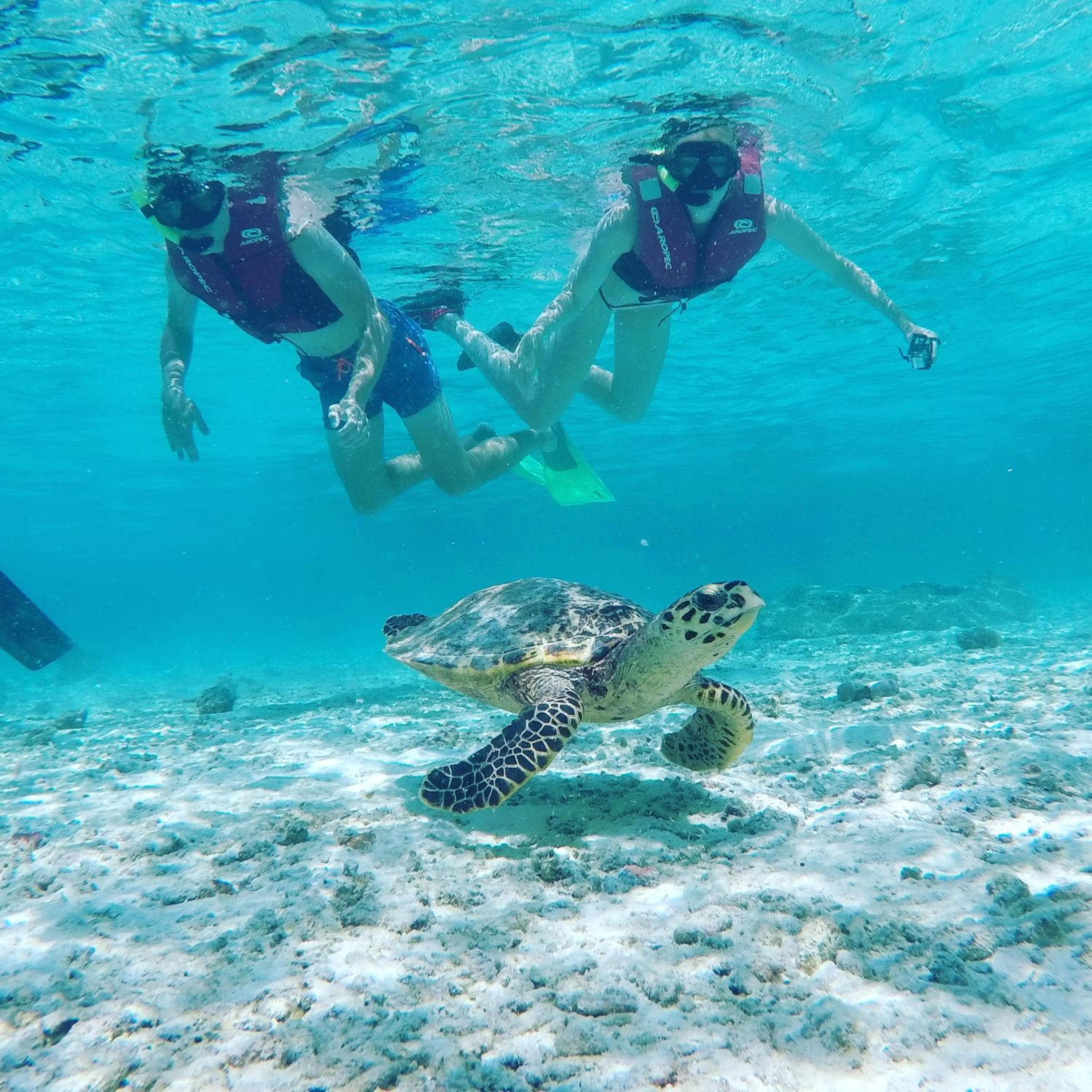 Salt Beach Hotel - View 65