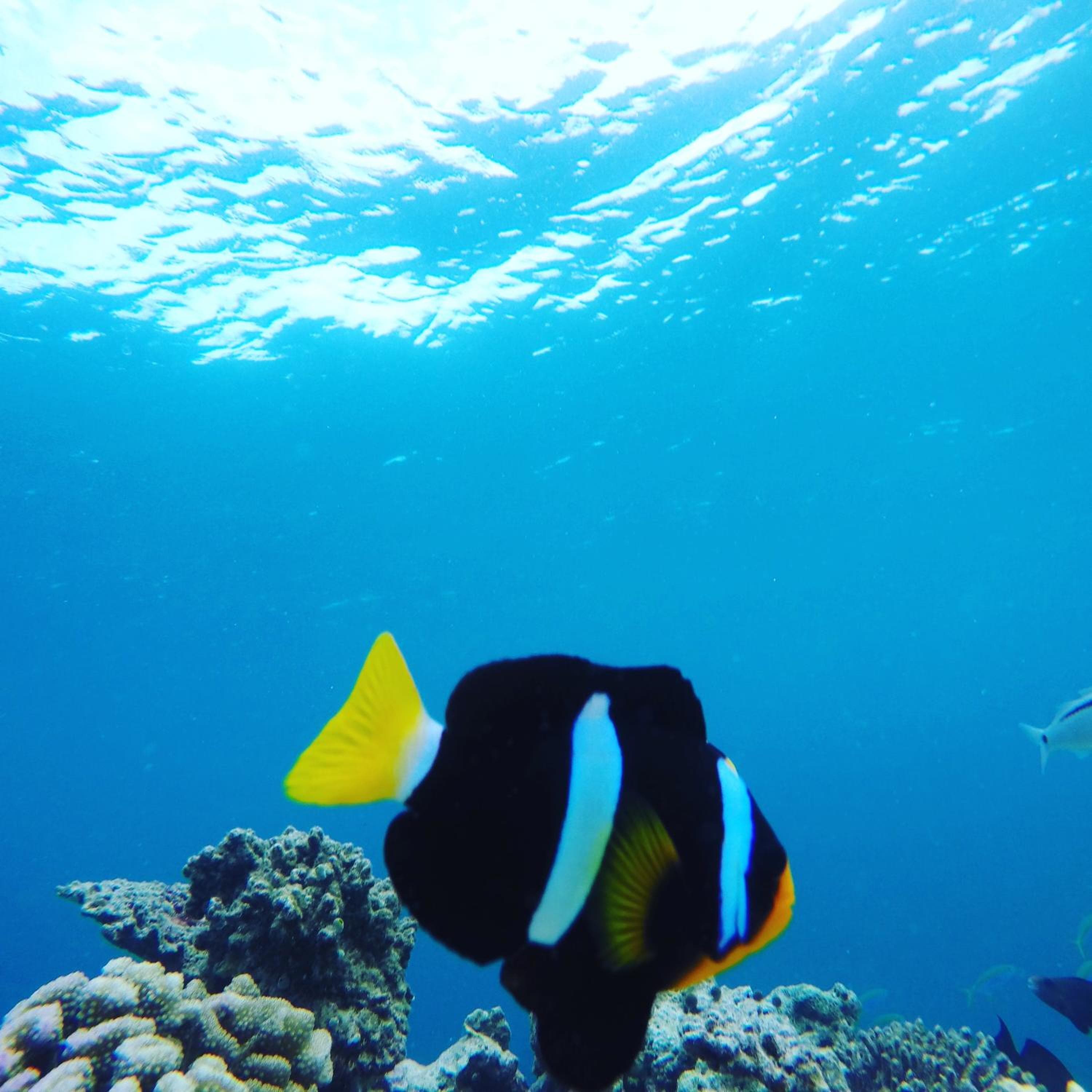 Salt Beach Hotel - View 63