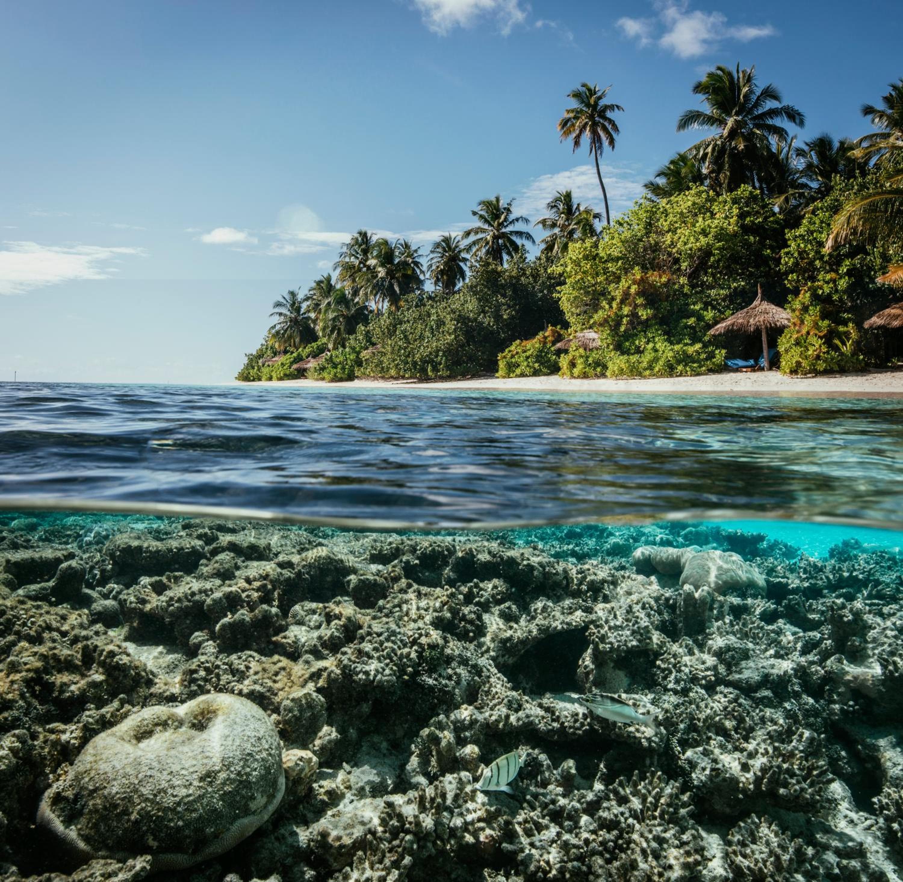 ROBINSON MALDIVES - Adults only - View 7