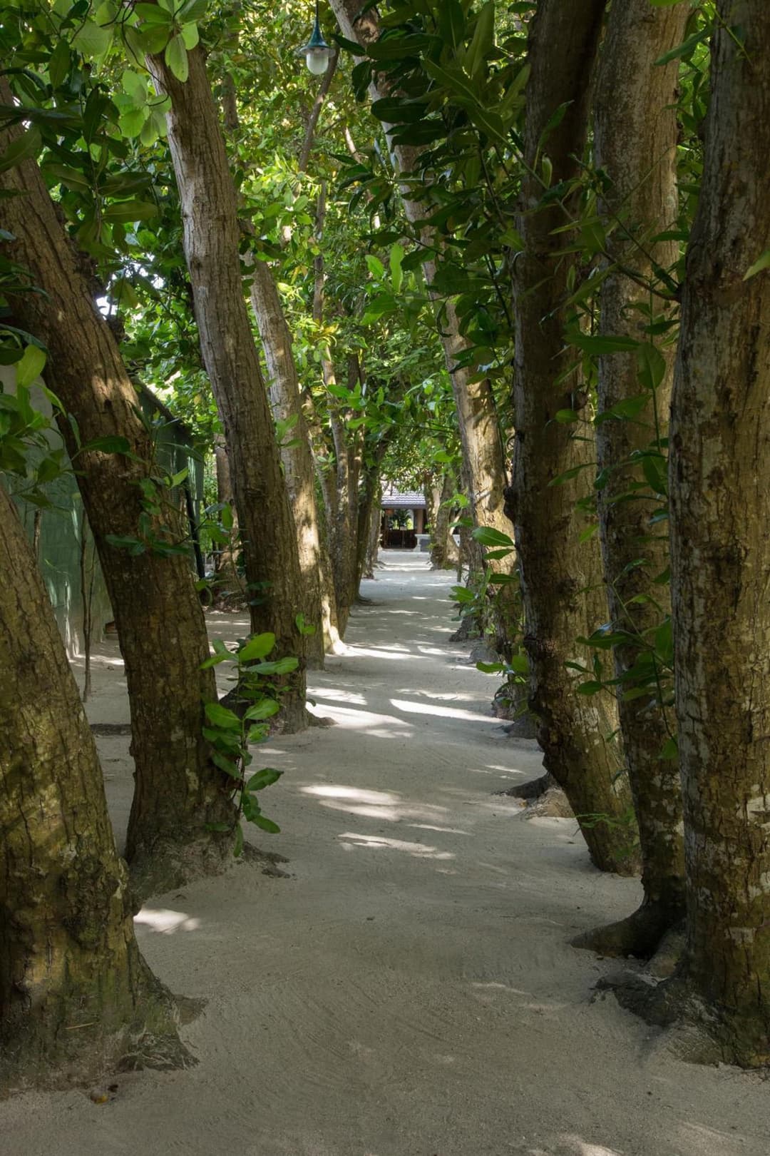 Embudu Village Maldives - View 57