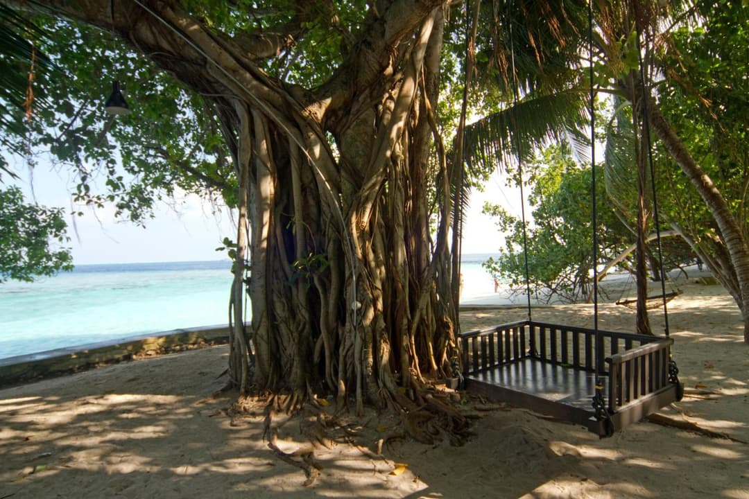 Embudu Village Maldives - View 56