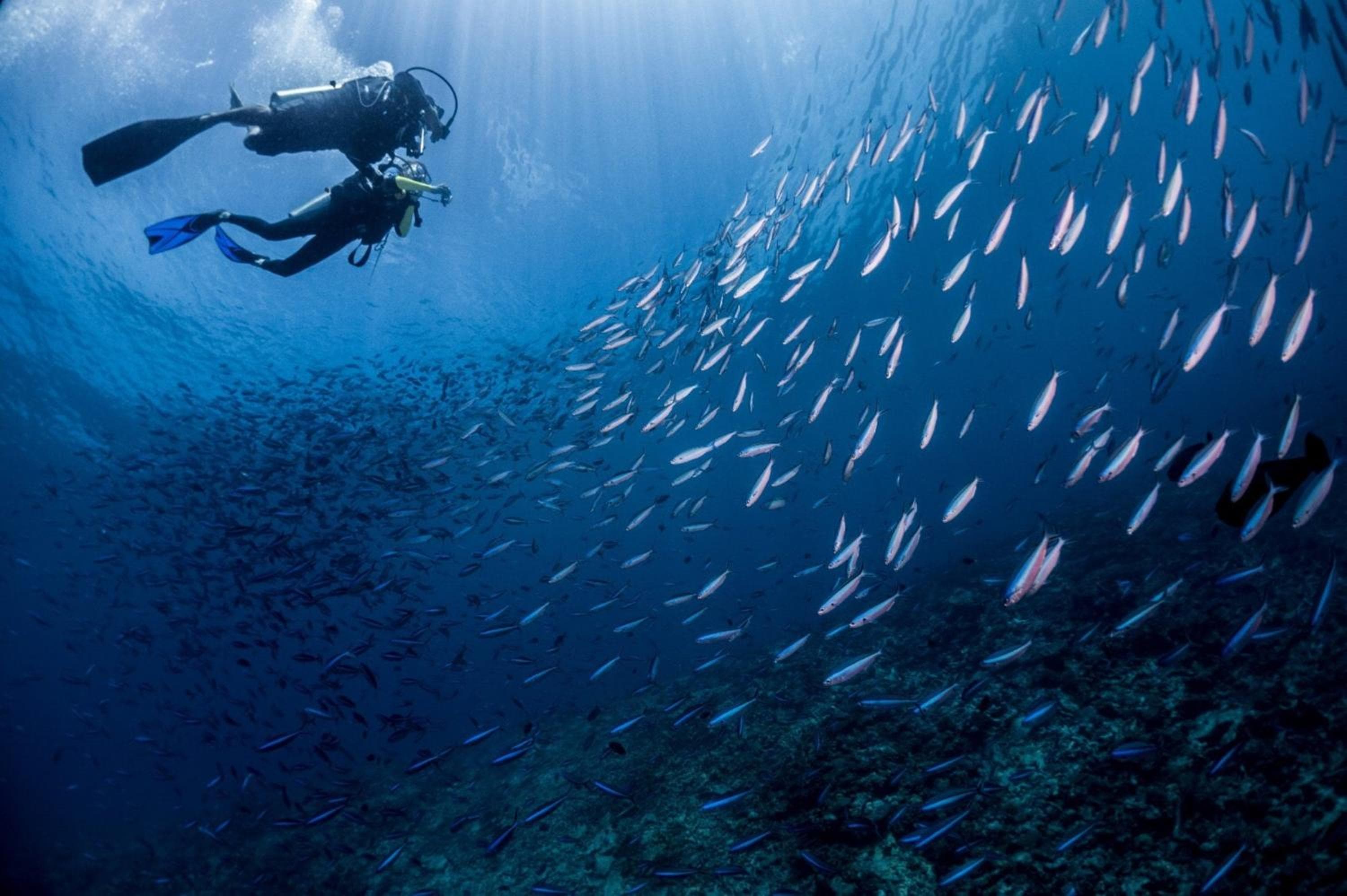 Mercure Maldives Kooddoo - Adults-Only Escape - 50 percent off Domestic Transfers - View 31