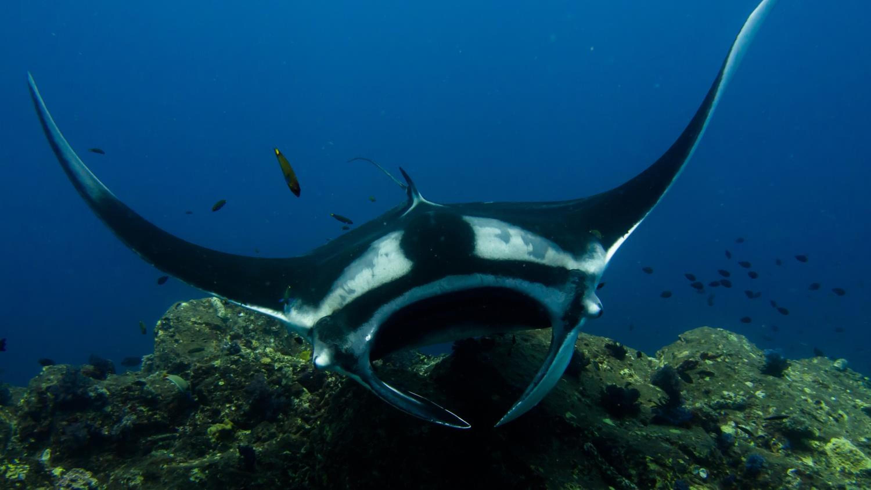 Sun Siyam Olhuveli - View 66