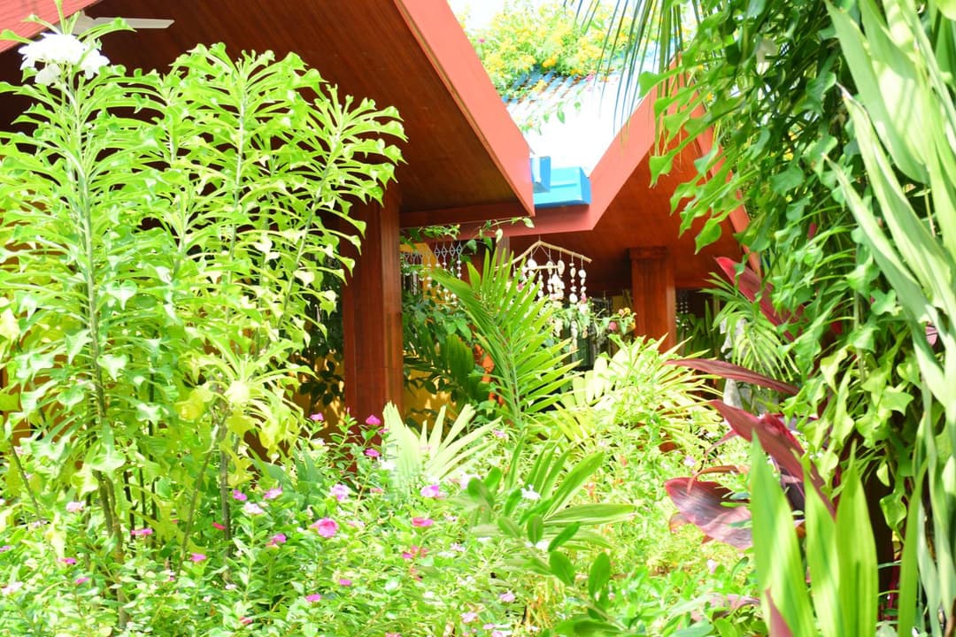 Beach Villa Ukulhas - View 27