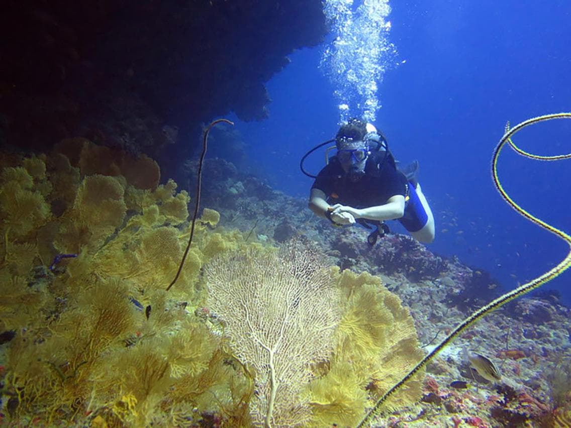 Velana Beach Hotel Maldives - View 57