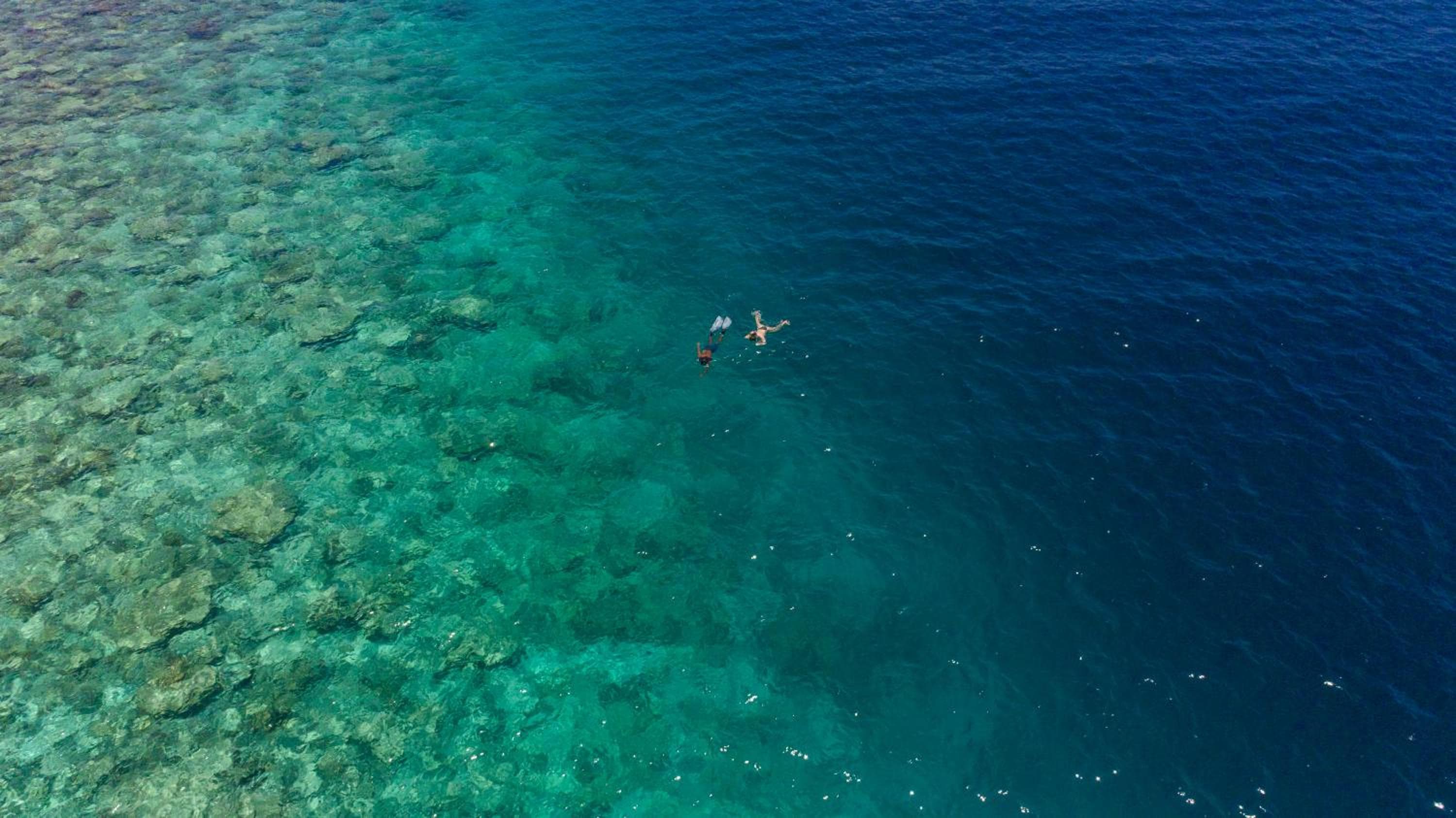 West Sands - View 124