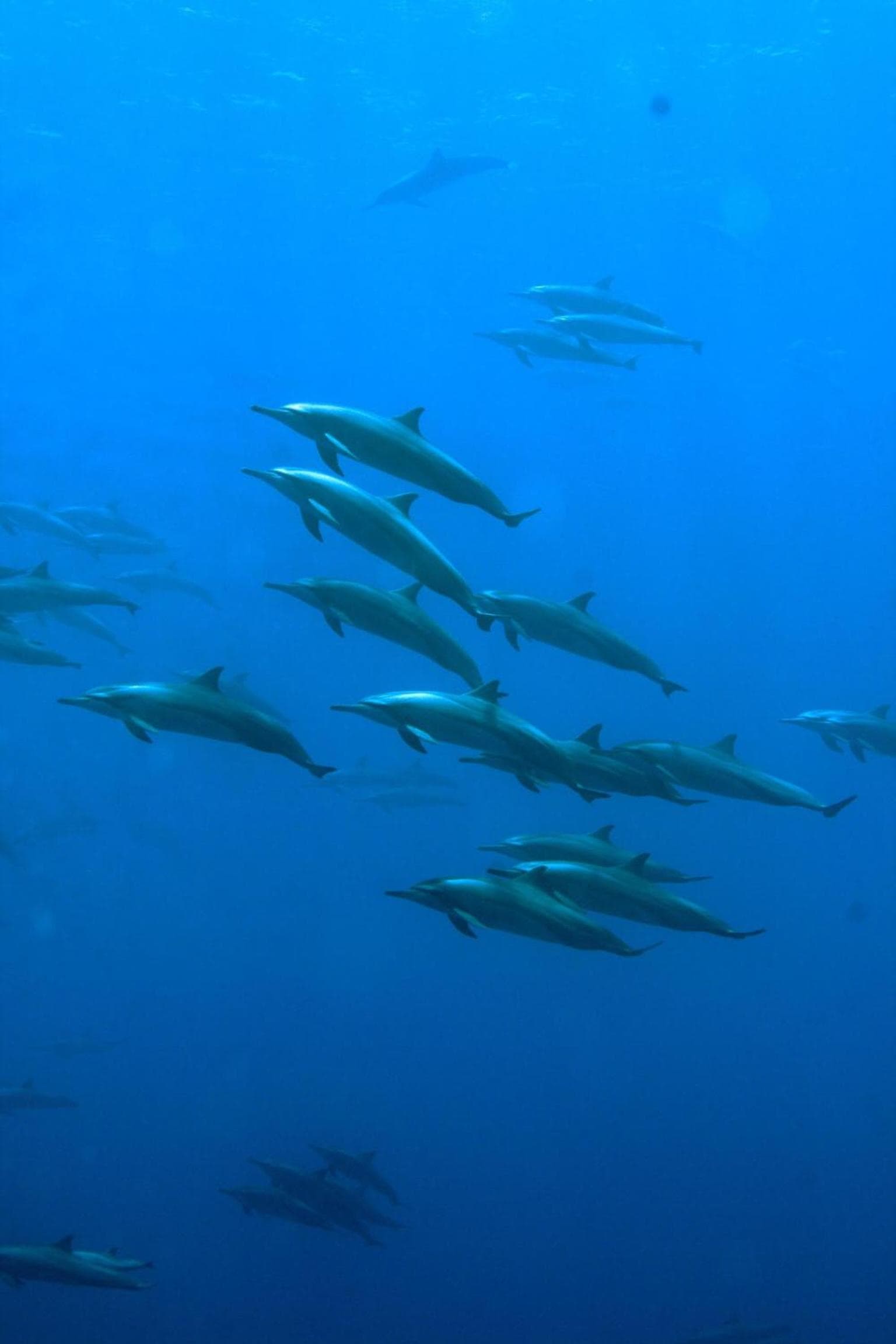 Summer Villa Guest House - View 40