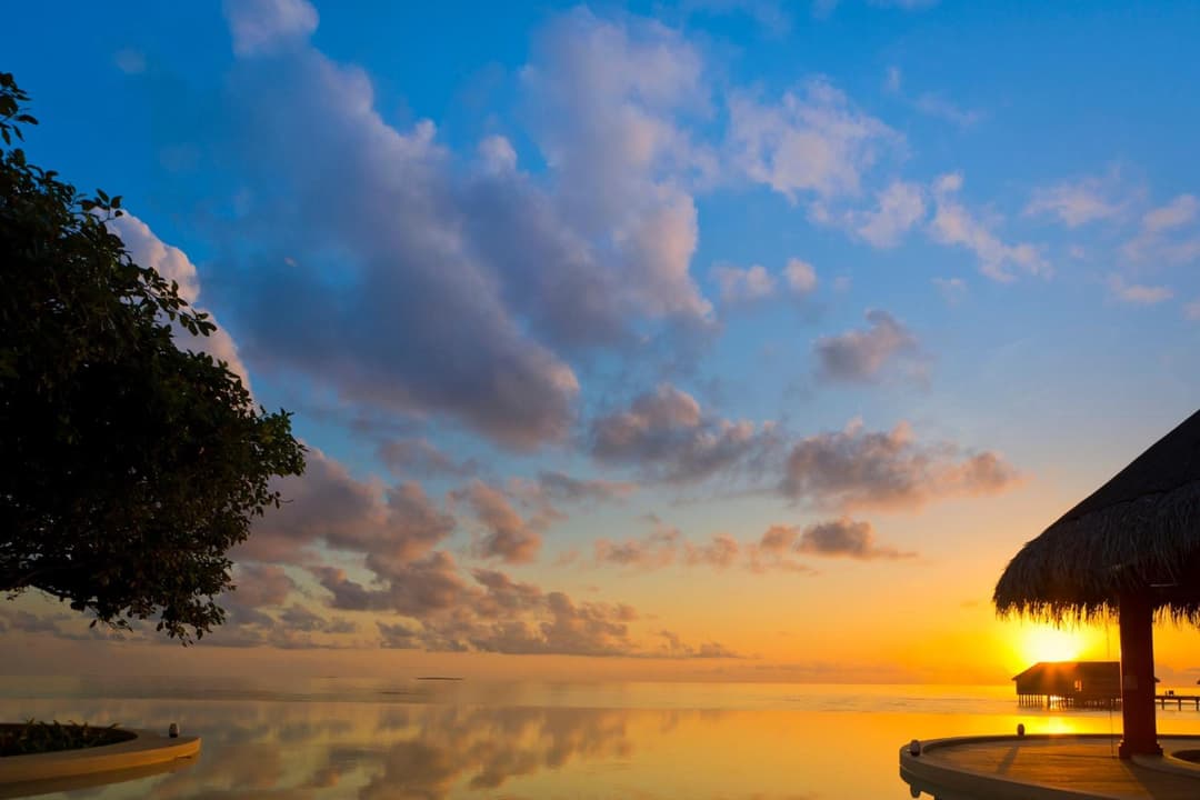 Dusit Thani Maldives - 50 percent off on Transfers for Stays of 5 Nights stay until 20 December 2026 - View 24