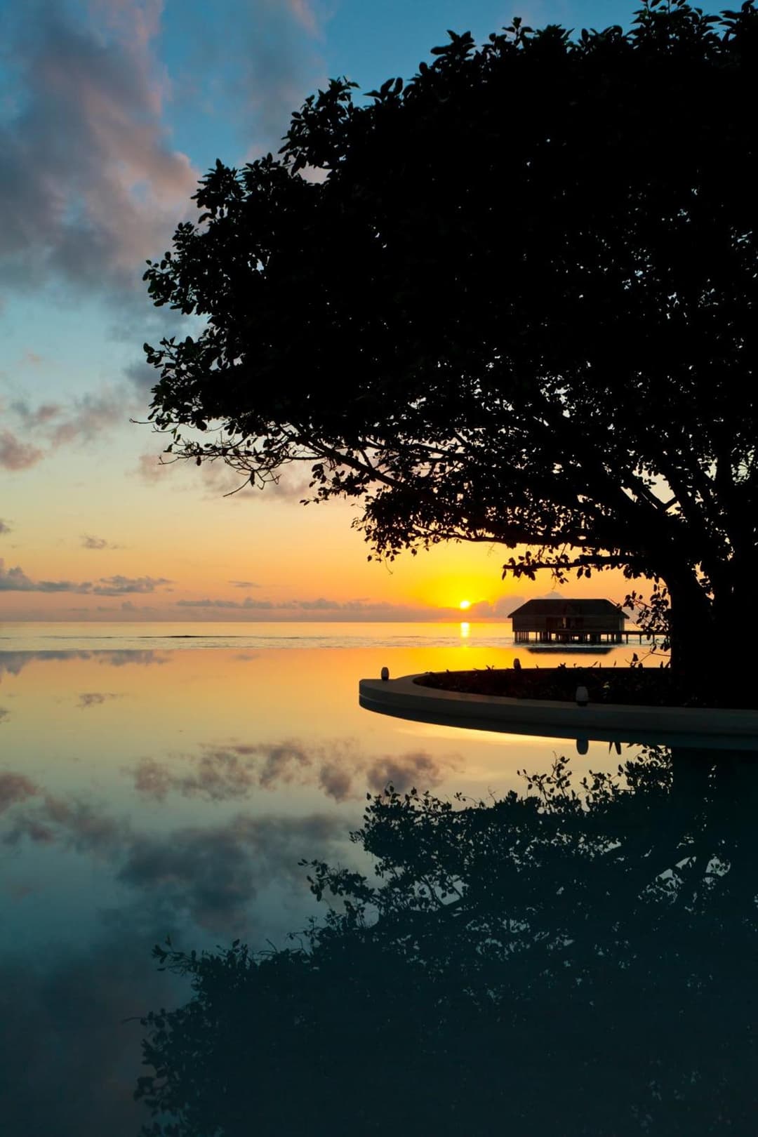 Dusit Thani Maldives - 50 percent off on Transfers for Stays of 5 Nights stay until 20 December 2026 - View 73