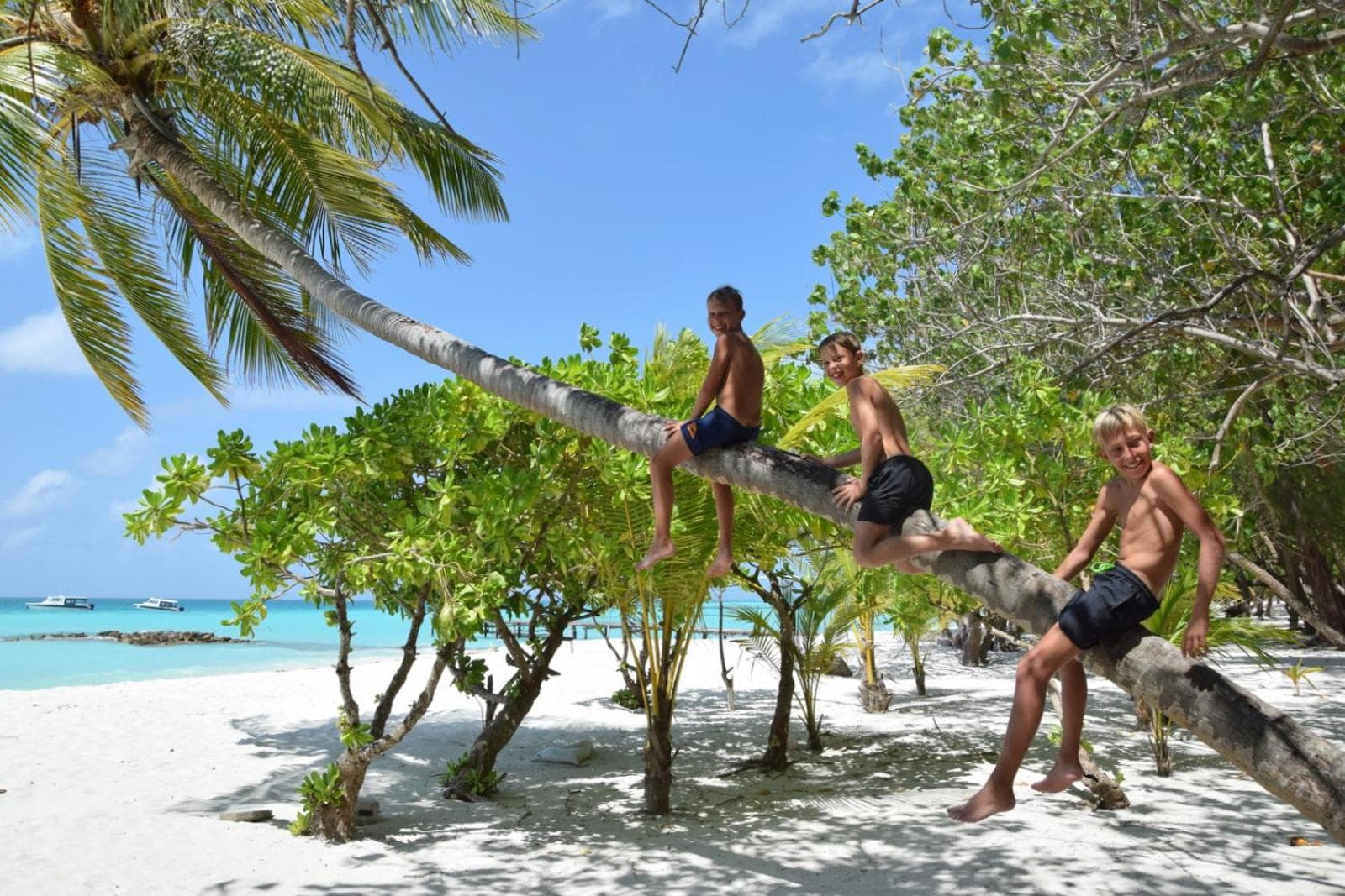 Araamu Hotels Maldives at Dhiffushi - View 116