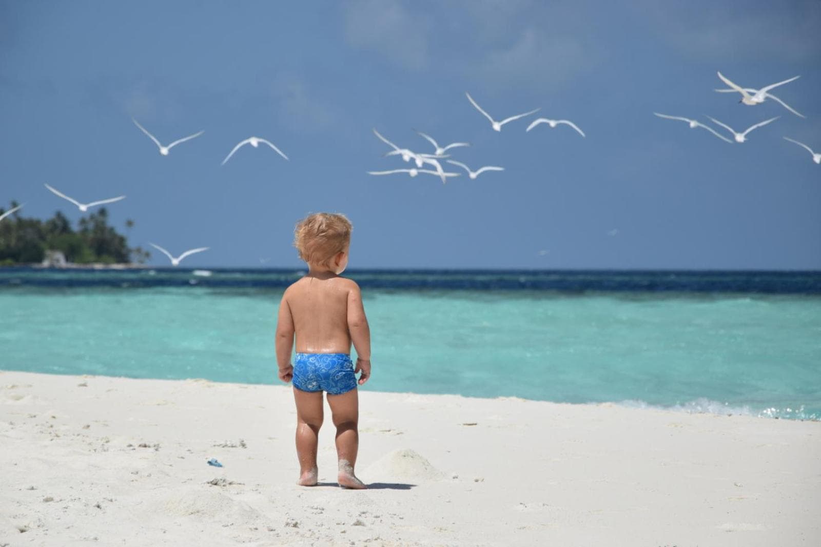 Araamu Hotels Maldives at Dhiffushi - View 107