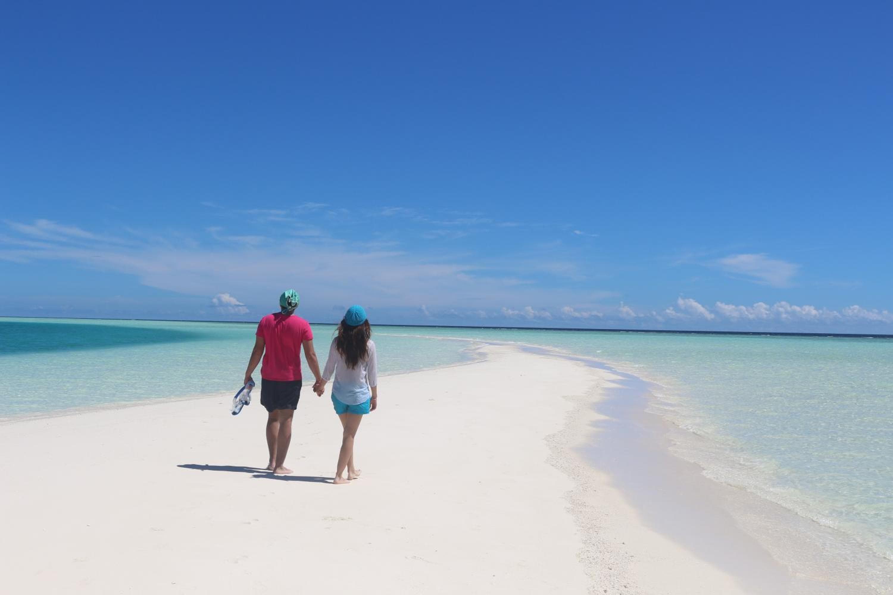 Palm Garden - View 17