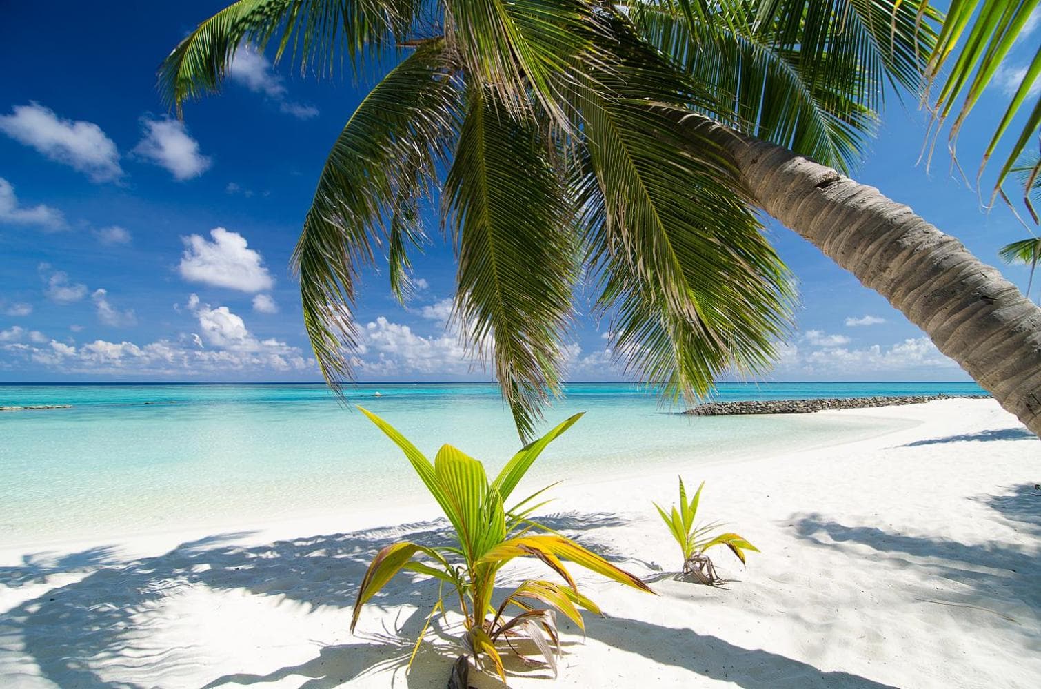 Summer Island Maldives Resort - View 86