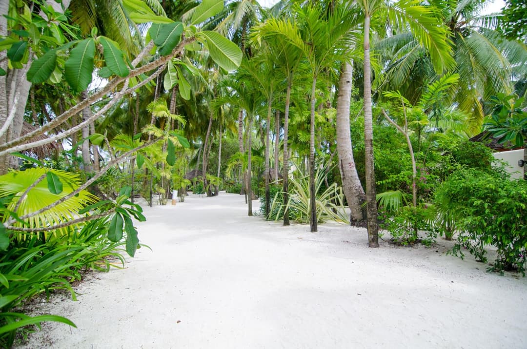 Summer Island Maldives - View 81