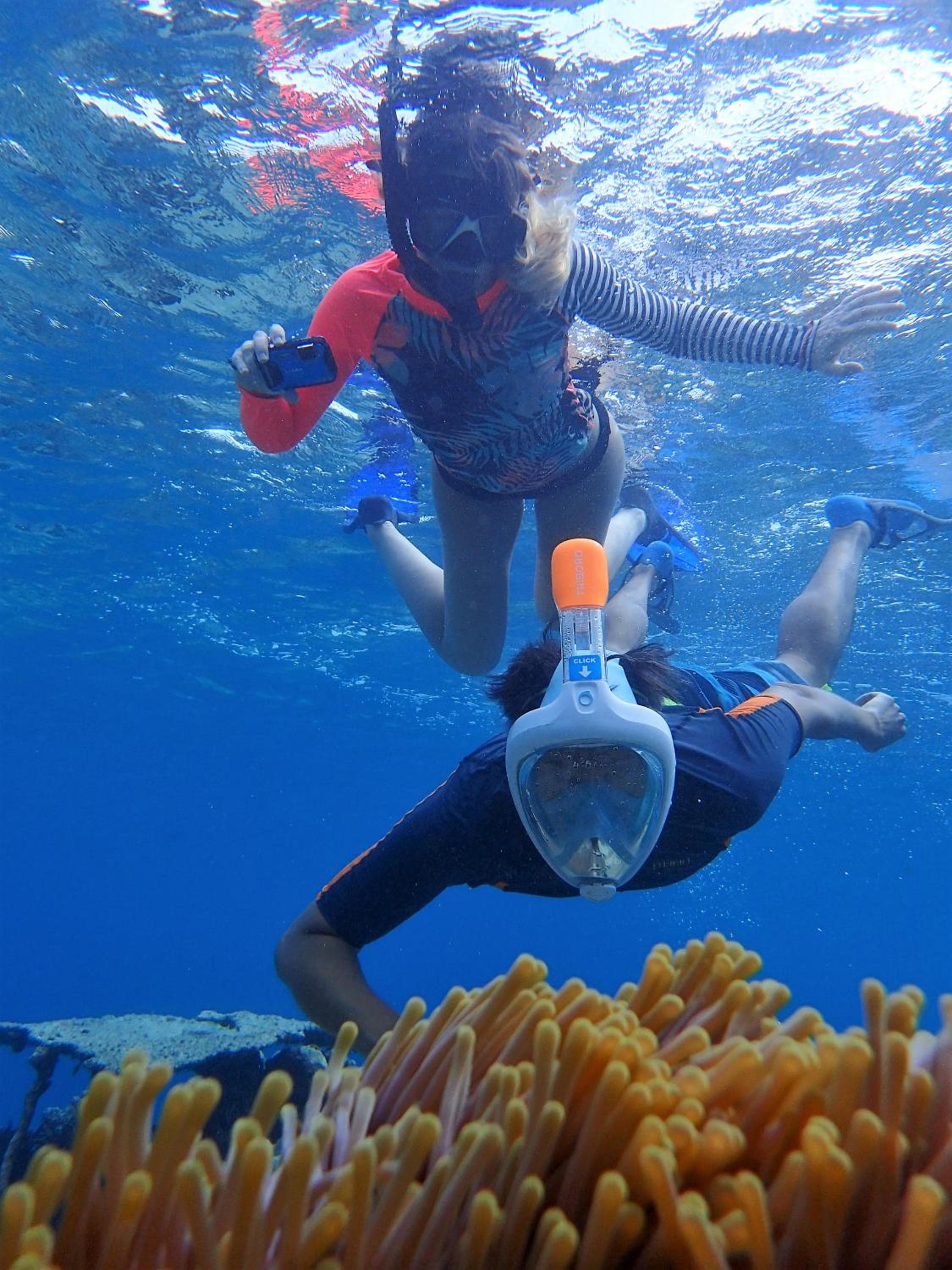 SeaLaVie Inn - View 35