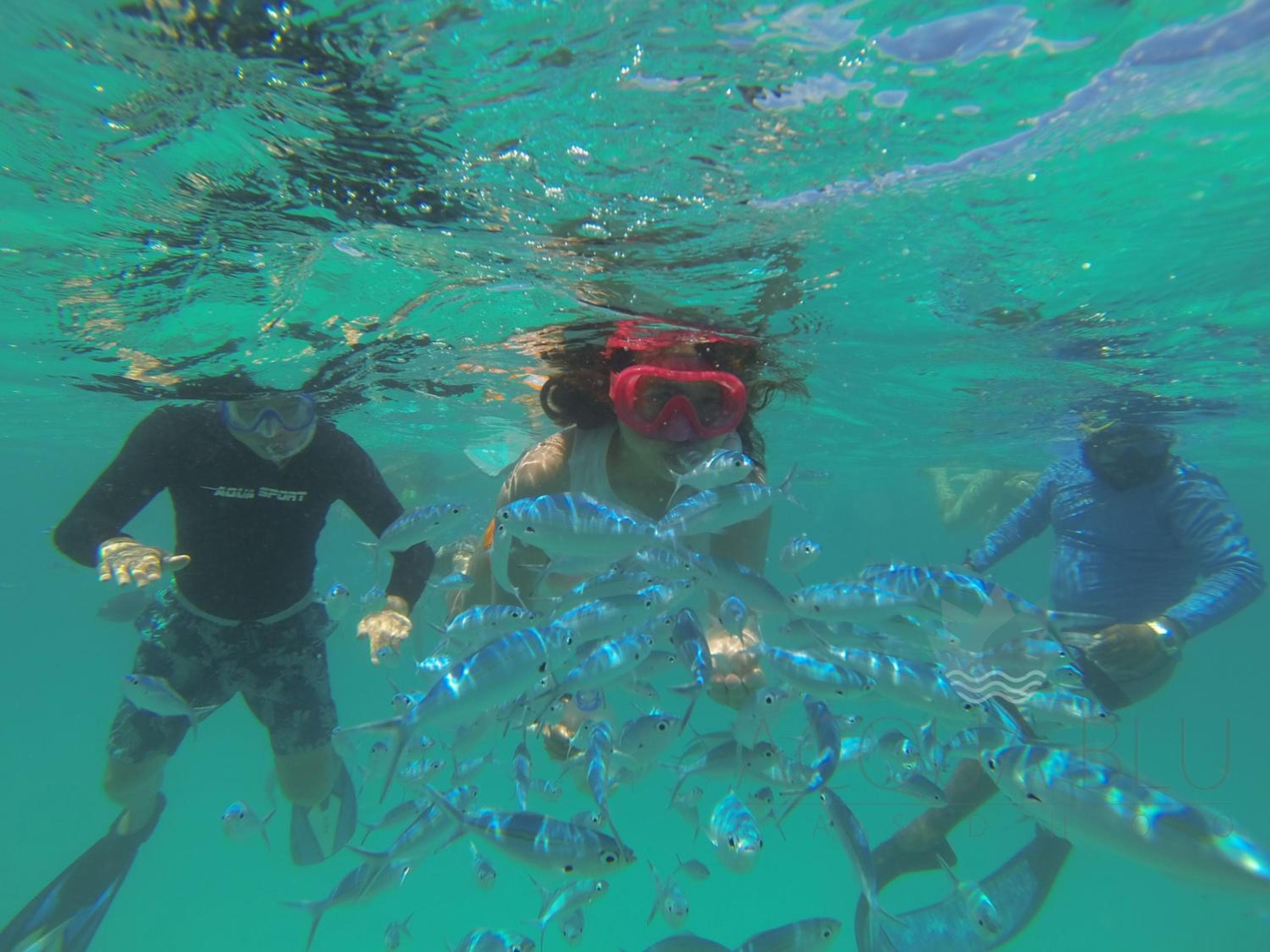 Acqua Blu Rasdhoo - View 17