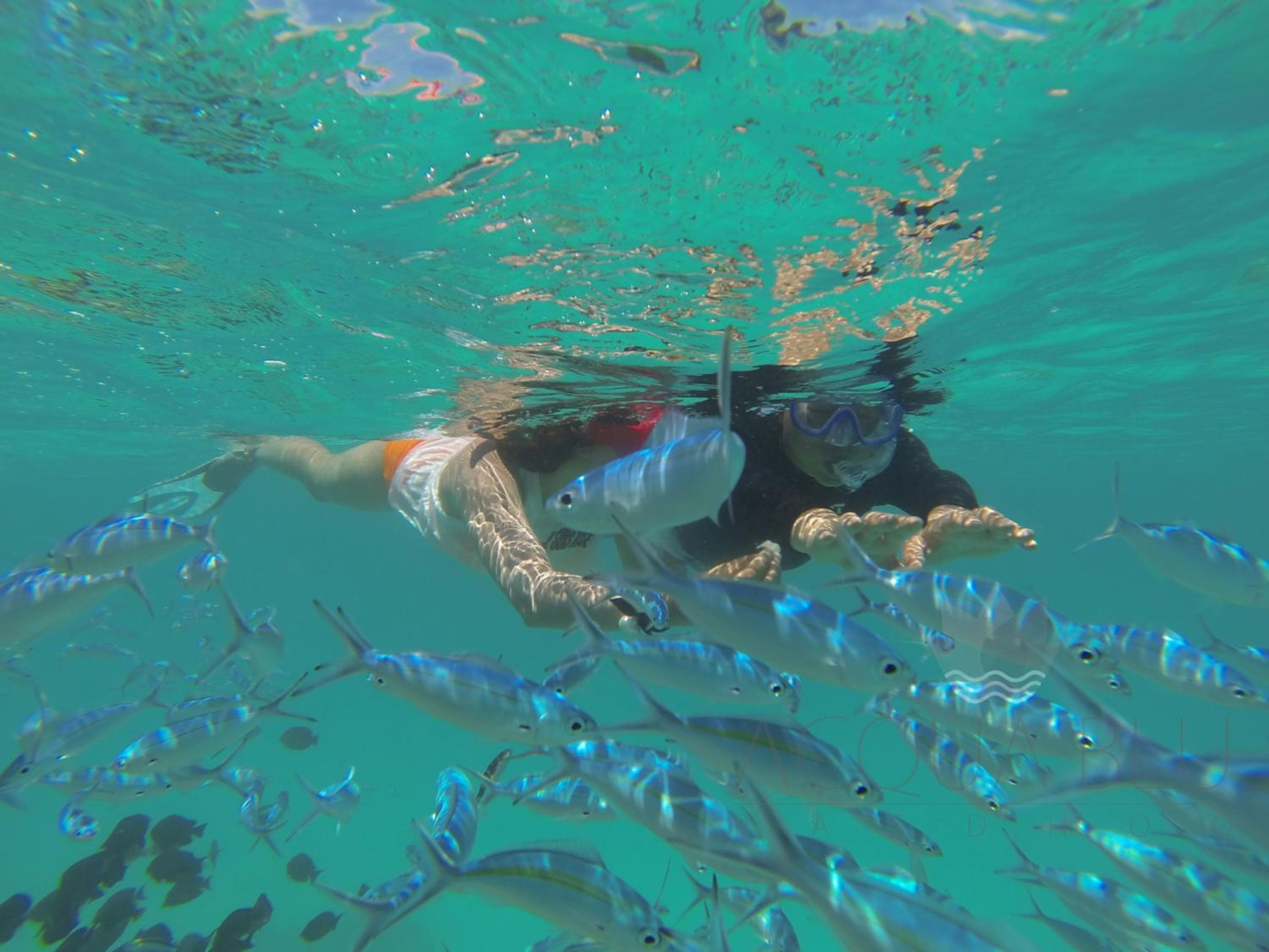 Acqua Blu Rasdhoo - View 19