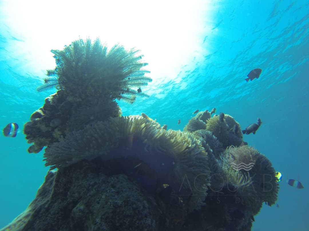 Acqua Blu Rasdhoo - View 22