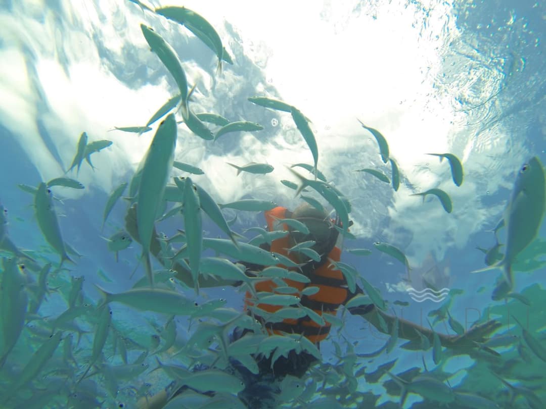 Acqua Blu Rasdhoo - View 84