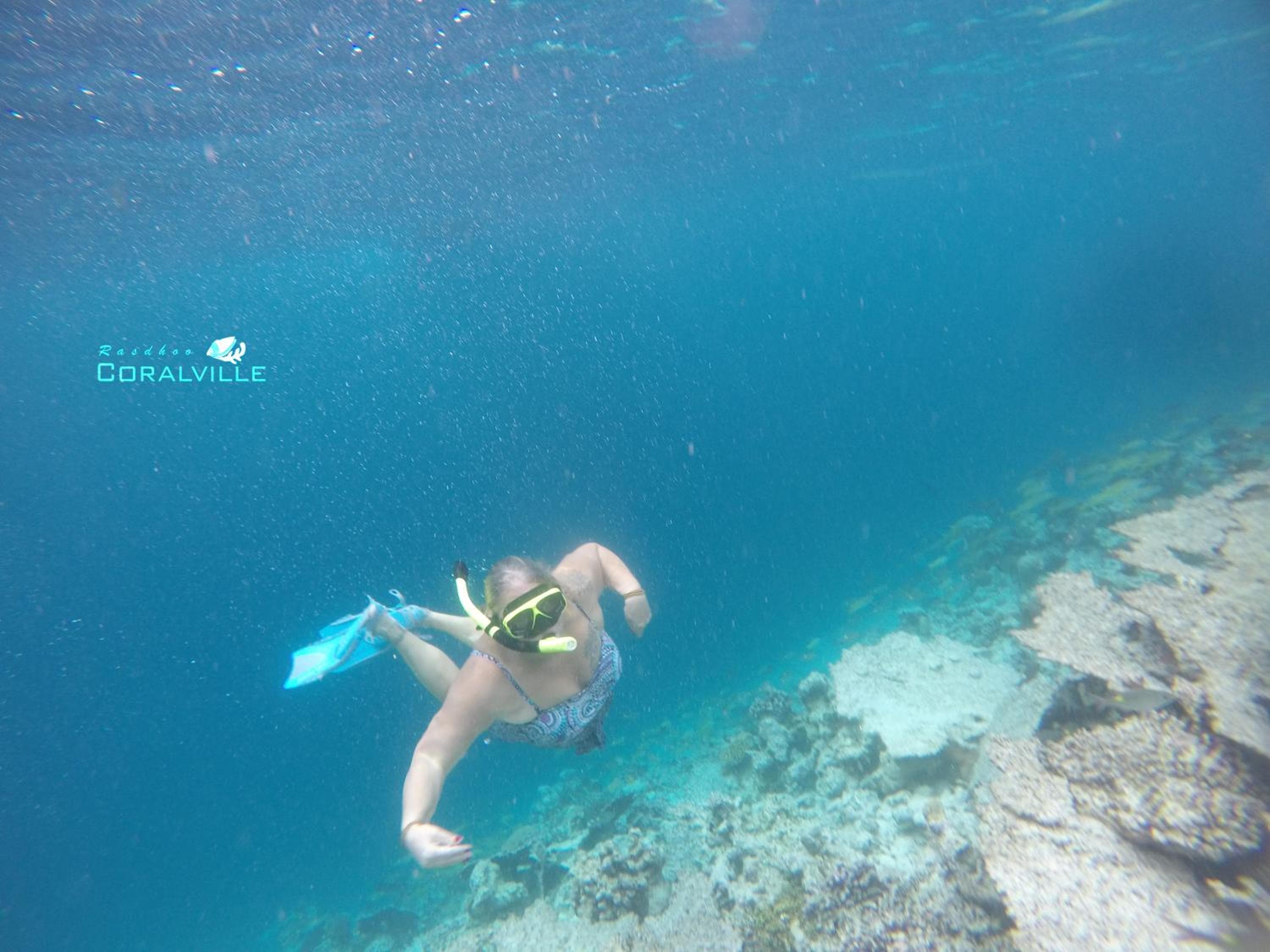 Rasdhoo Coralville - View 18