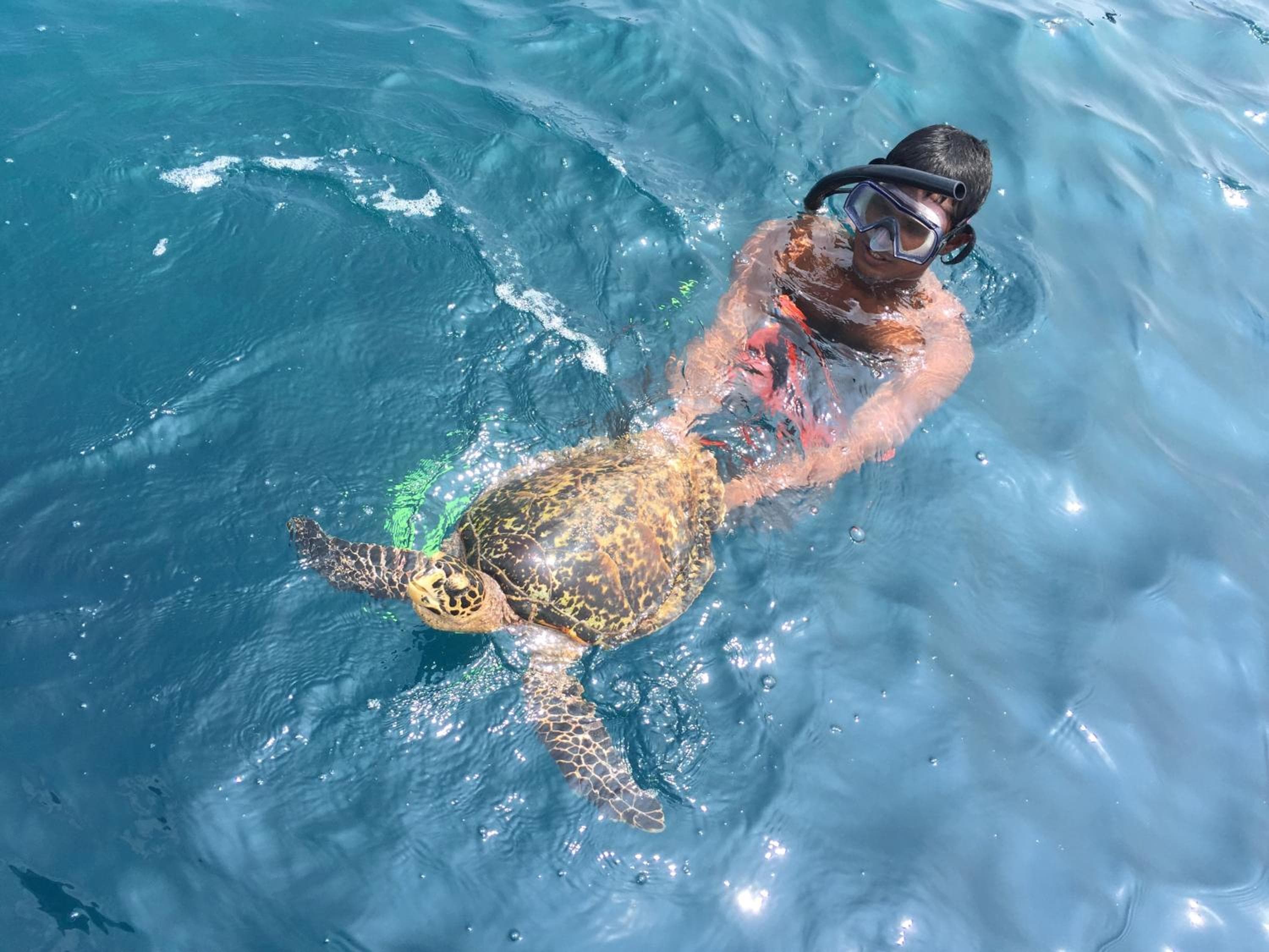 Koimala Hotel - View 87