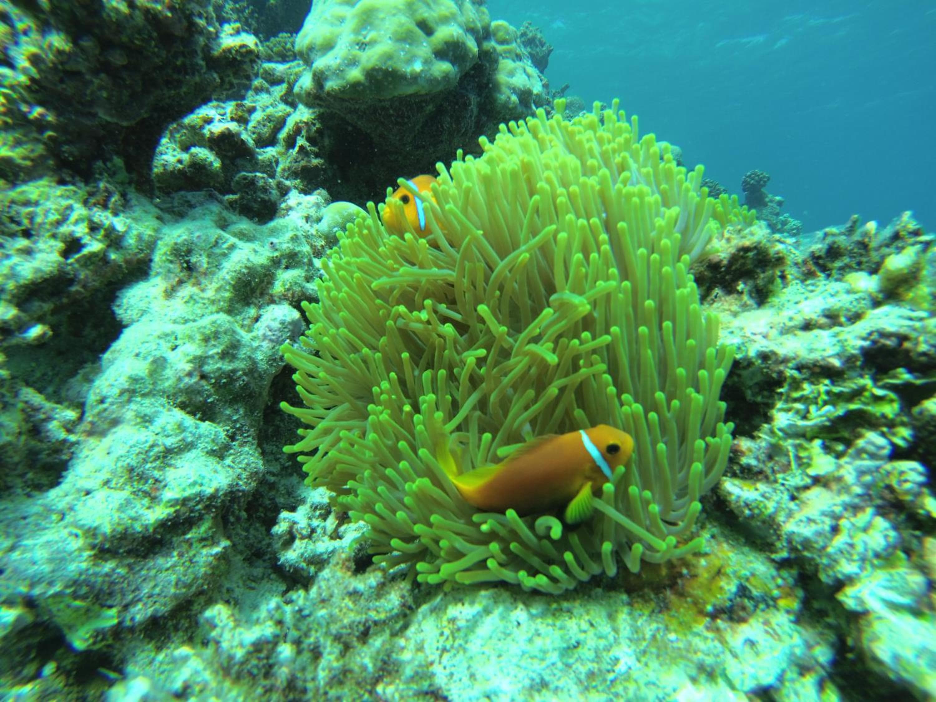 Veli Beach Inn - View 95