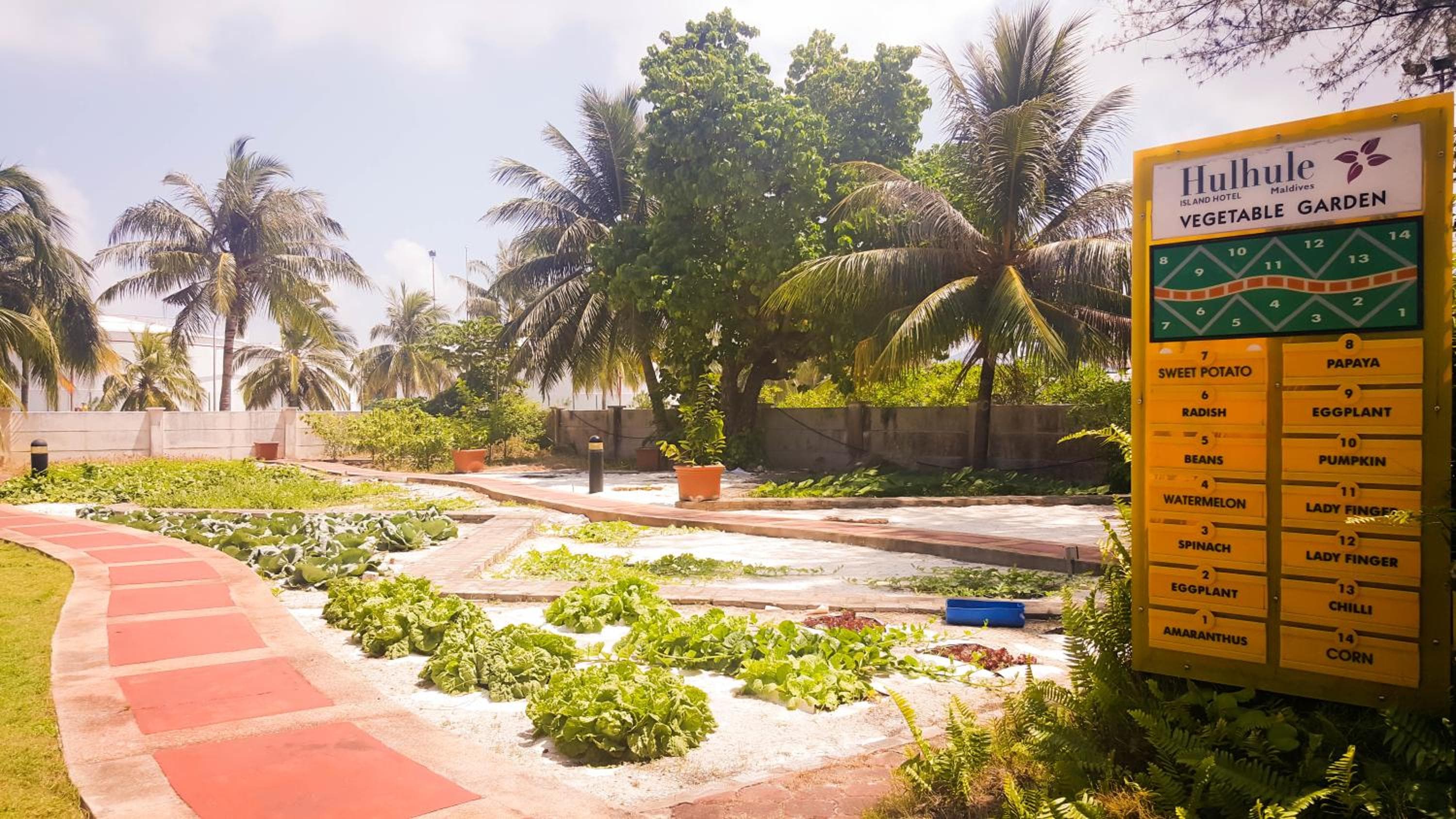 Hulhule Island Hotel- Private Beach Access & Airport Pick-up and Drop - View 55