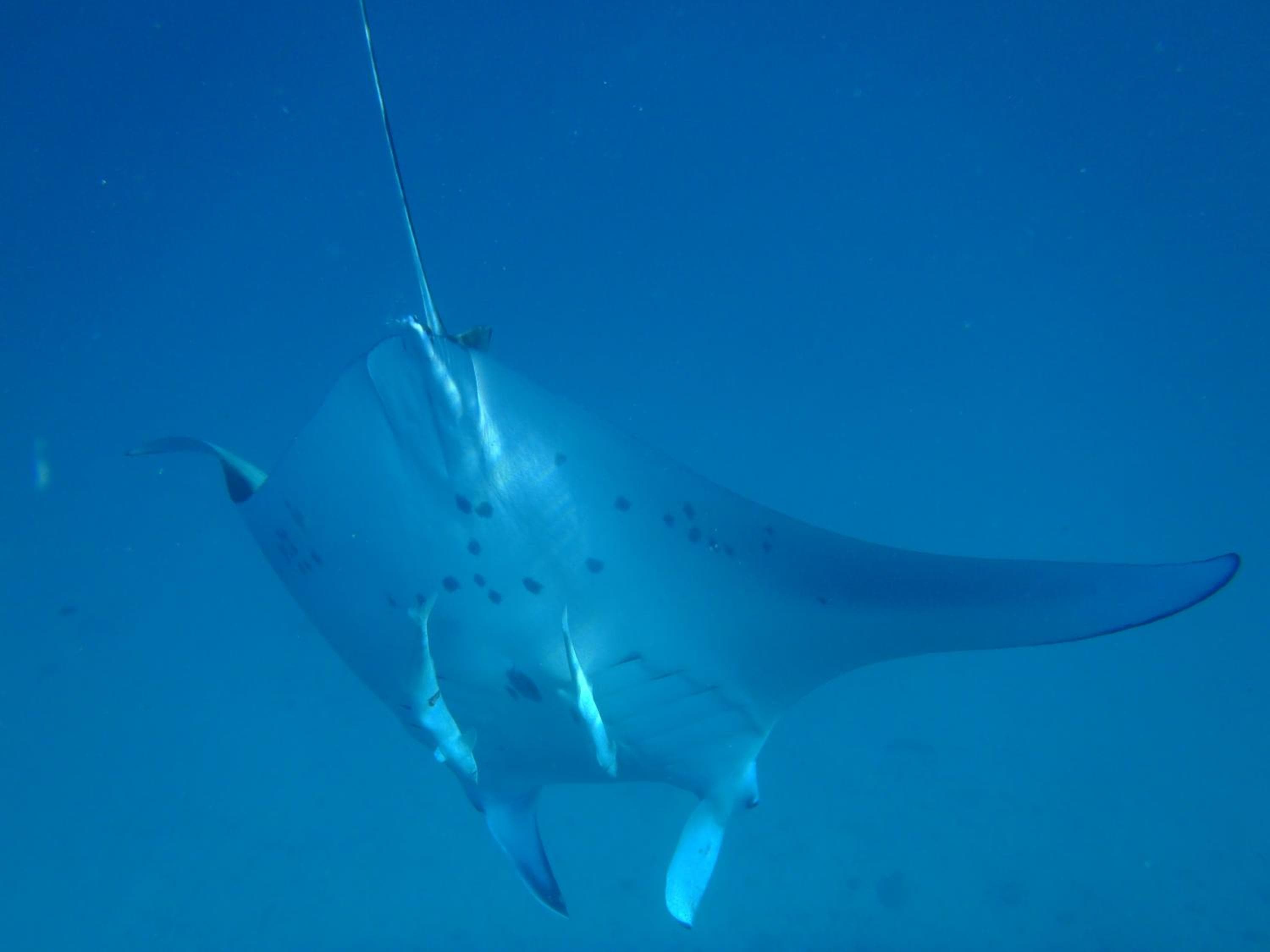 West Sands - View 61