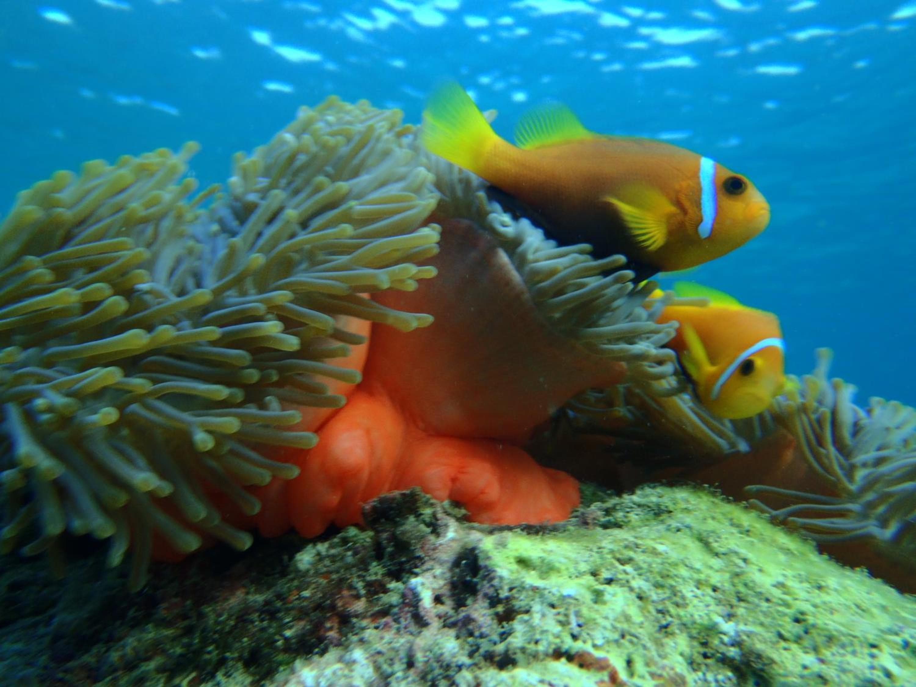 West Sands - View 16