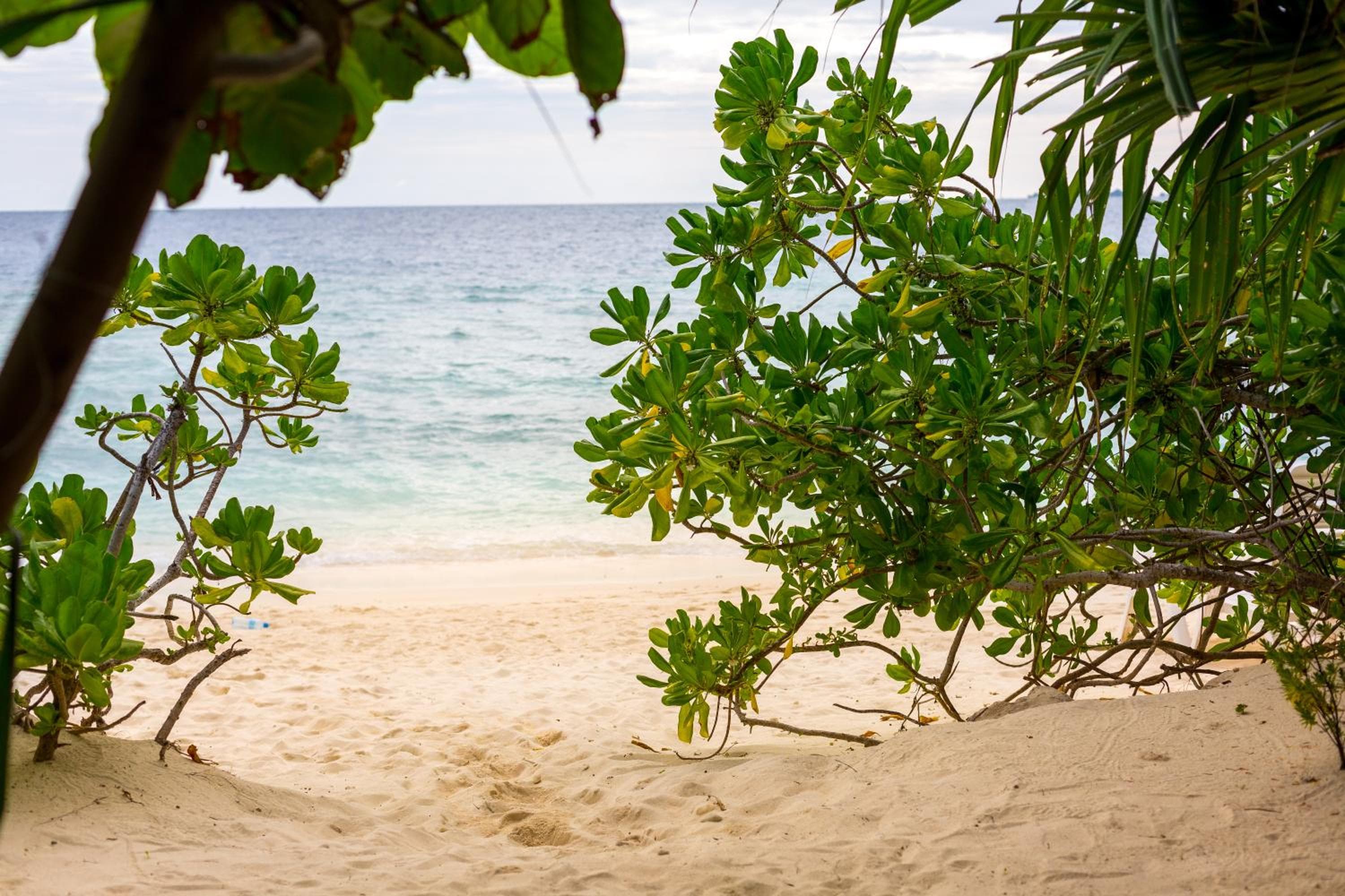 West Sands - View 121