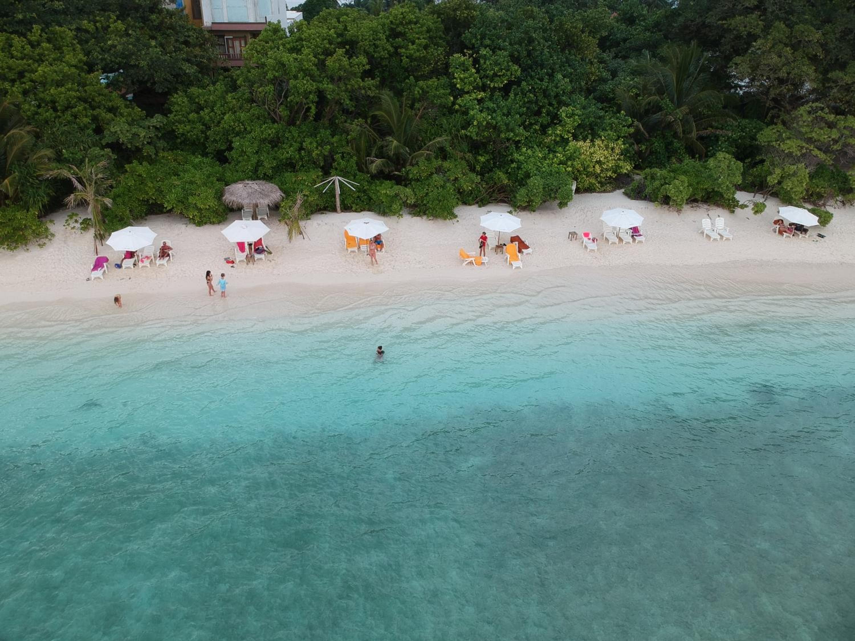 West Sands - View 111