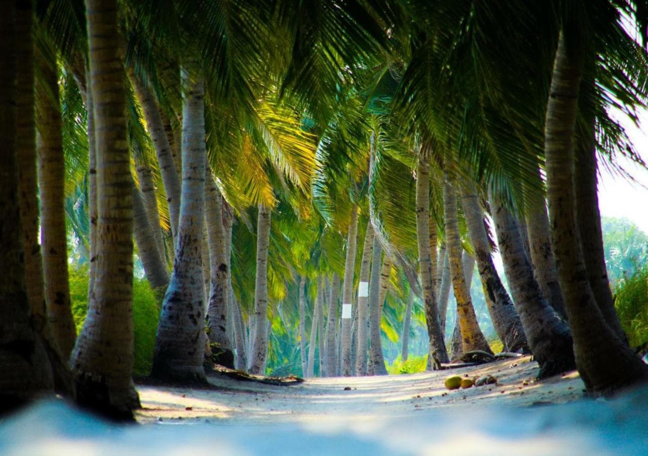 Alesara Guest House - View 79