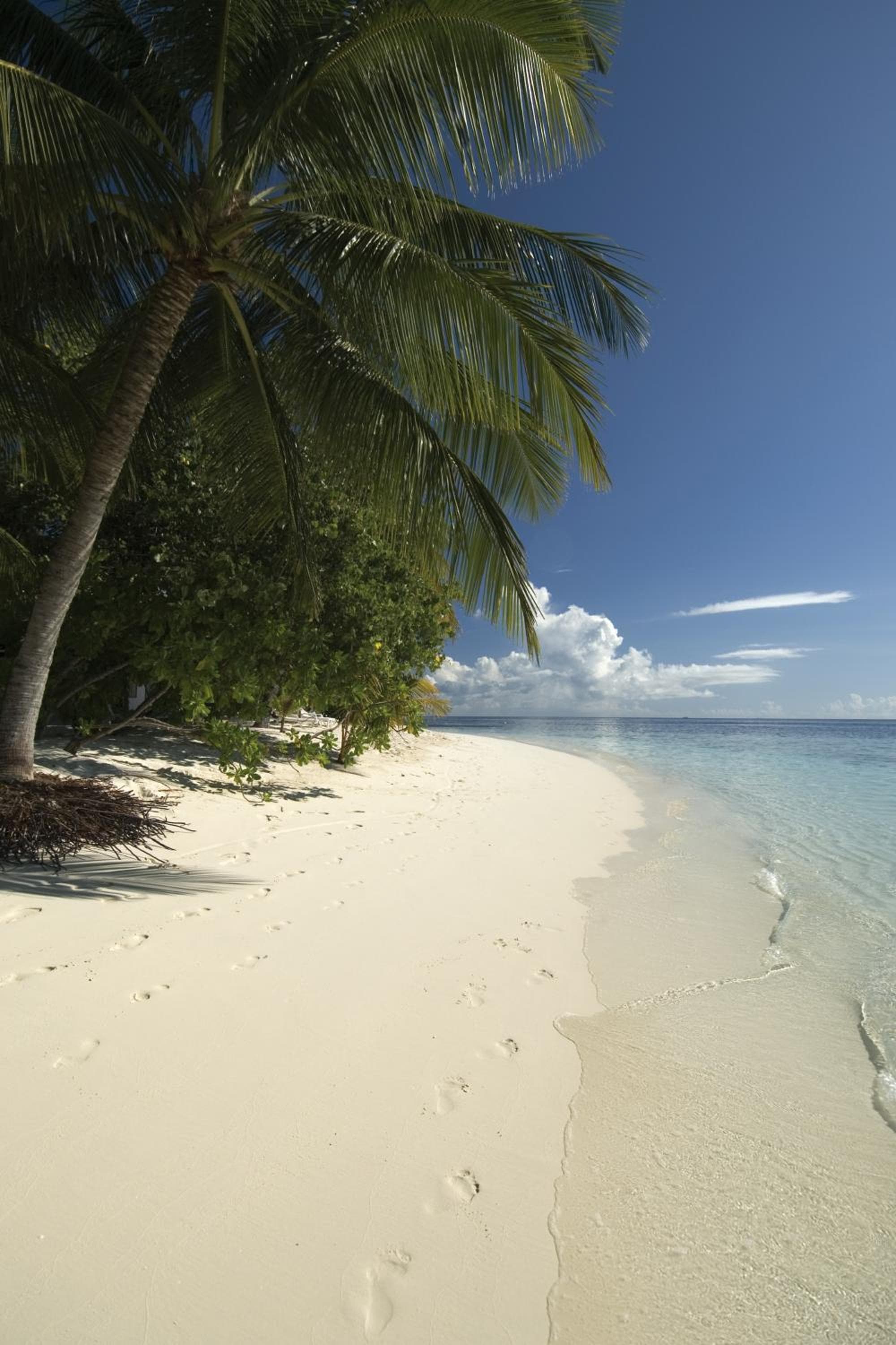 Diamonds Athuruga Maldives Resort & Spa - View 58