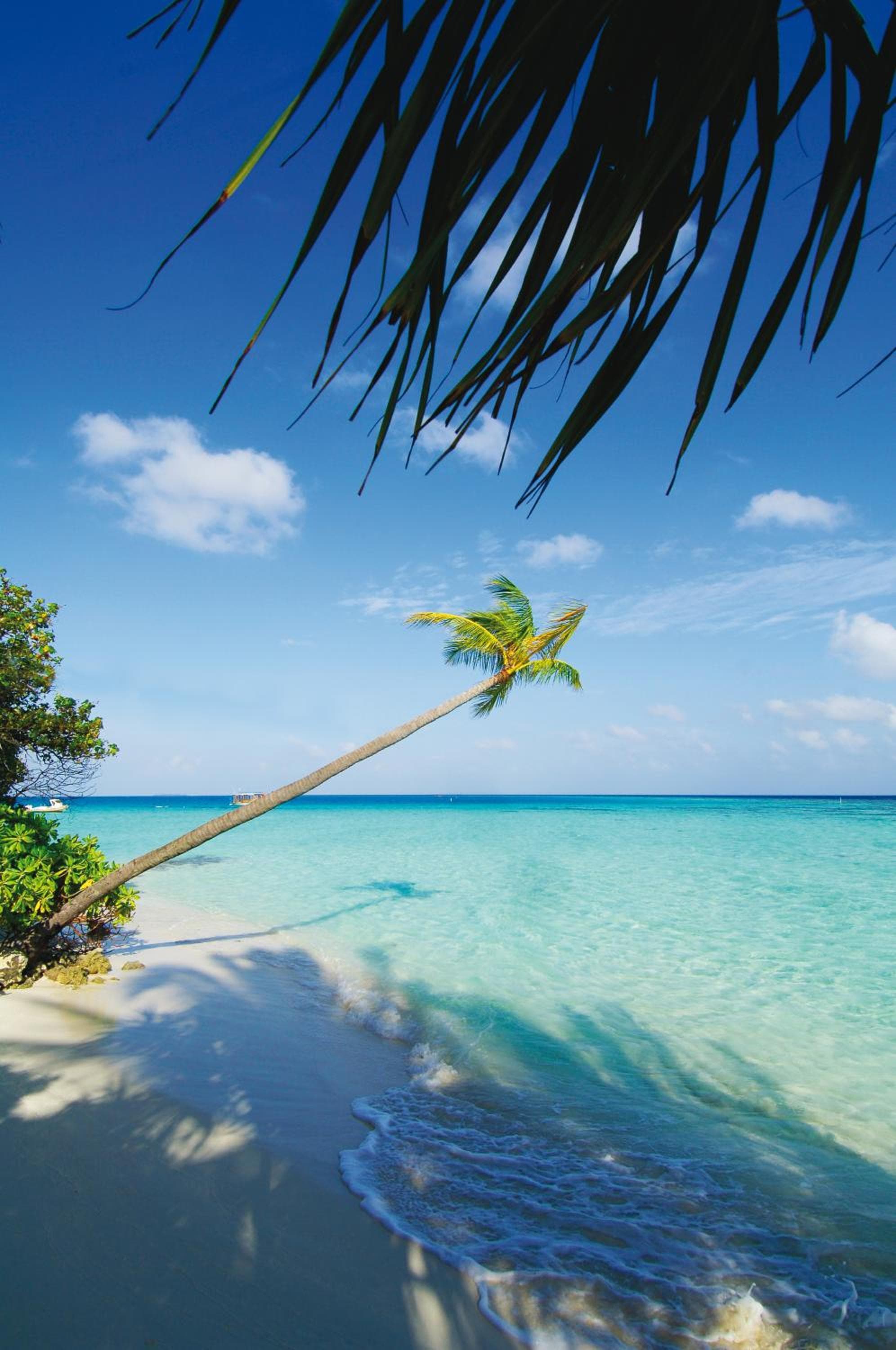 Diamonds Athuruga Maldives Resort & Spa - View 63