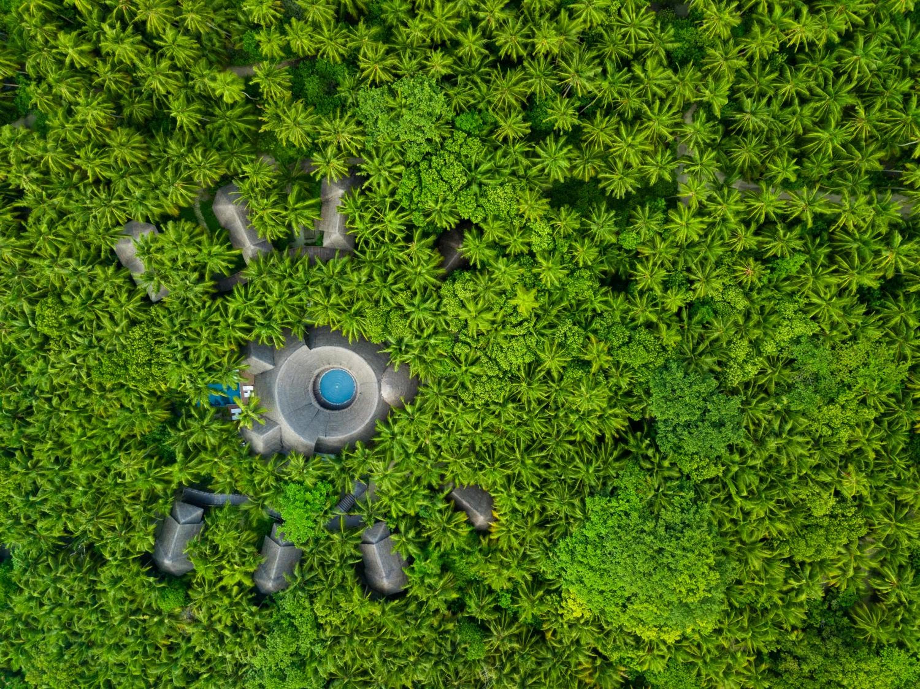 Dusit Thani Maldives - 50 percent discount on transfers for stays until 20 Dec 2025 - View 53