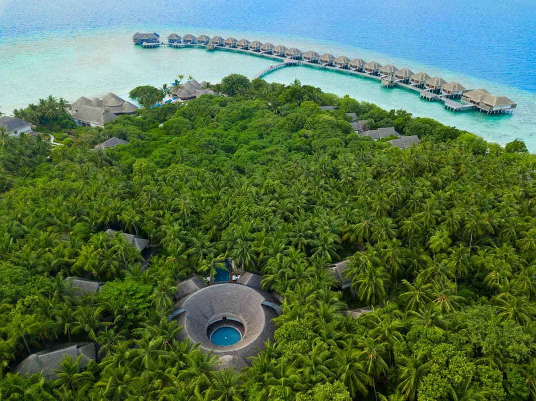 Dusit Thani Maldives - 50 percent off on Transfers for Stays of 5 Nights stay until 20 December 2026 - View 28