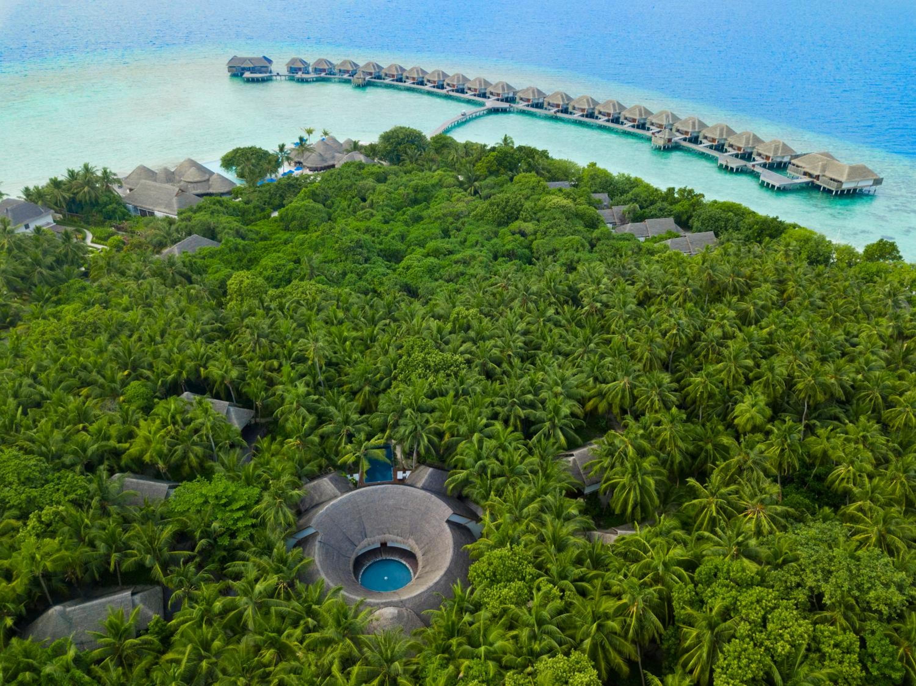 Dusit Thani Maldives - 50 percent discount on transfers for stays until 20 Dec 2025 - View 54